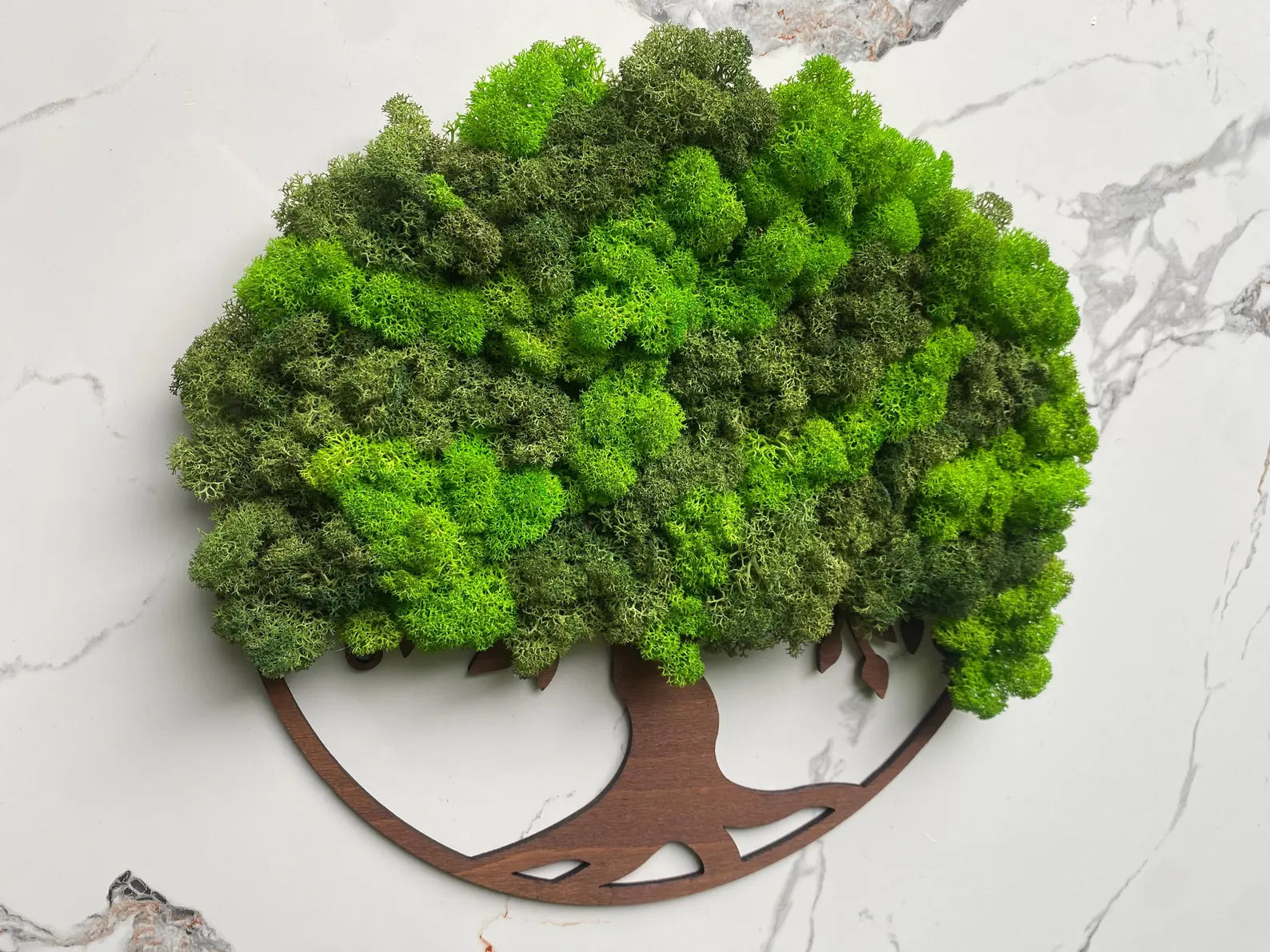 Tree of Life Wall Art with Scandinavian Moss – Large Natural Moss Wall Decor for Home or Office