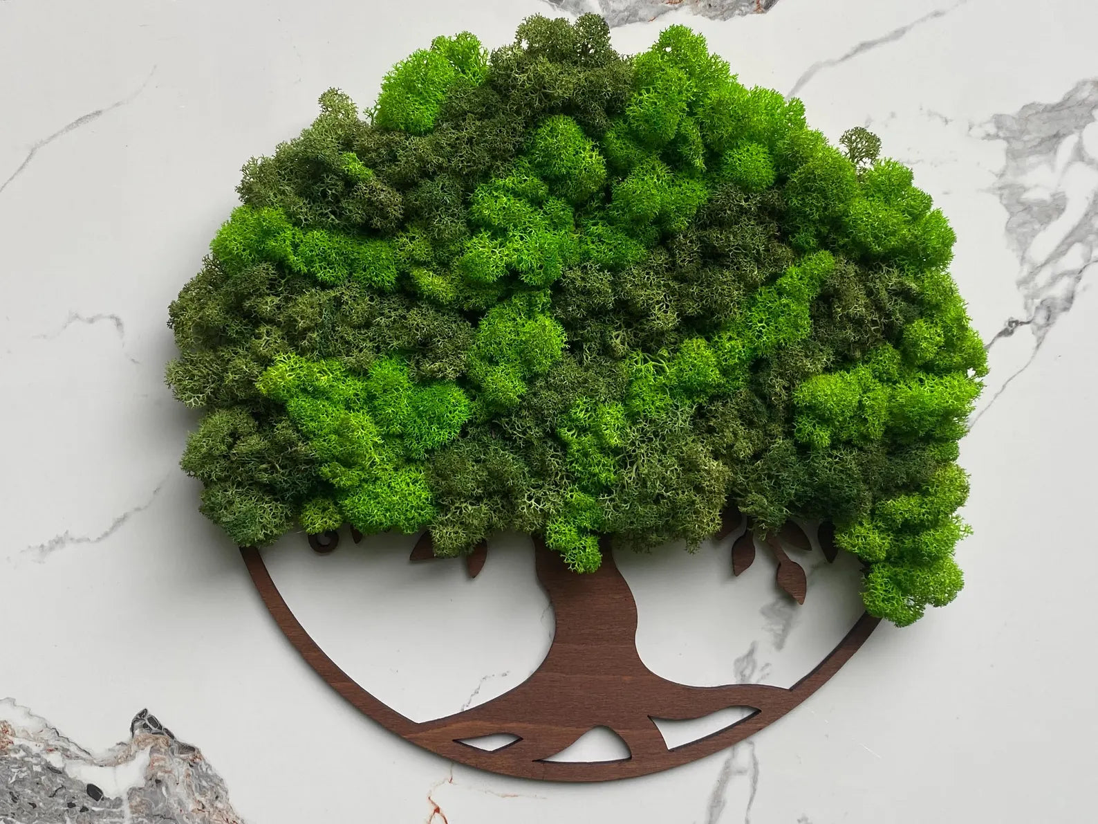 Tree of Life Wall Art with Scandinavian Moss – Large Natural Moss Wall Decor for Home or Office