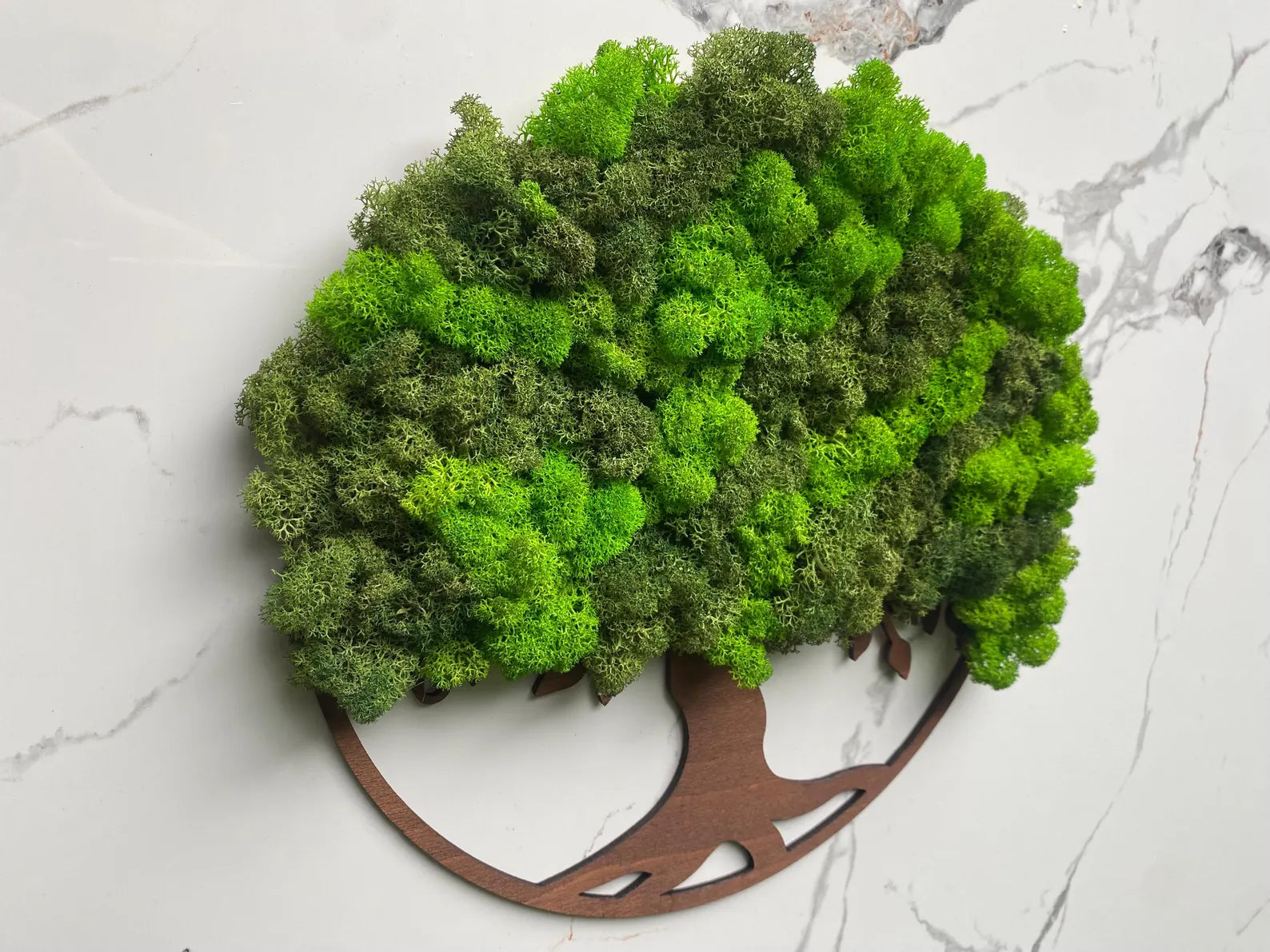 Tree of Life Wall Art with Scandinavian Moss – Large Natural Moss Wall Decor for Home or Office
