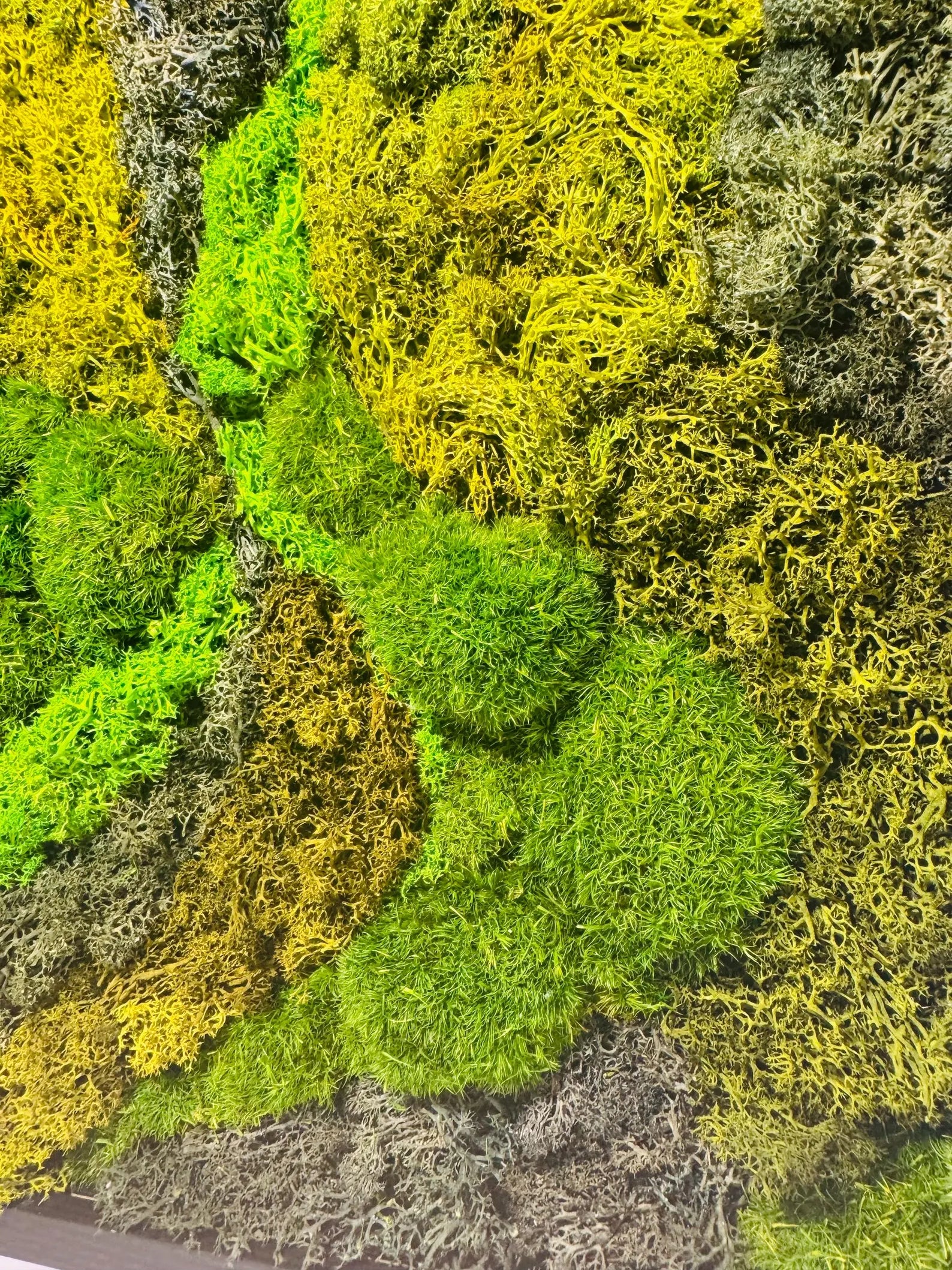 Moss Wall Art in Black Frame – Preserved Green Moss Wall Decor, Modern Nature Artwork