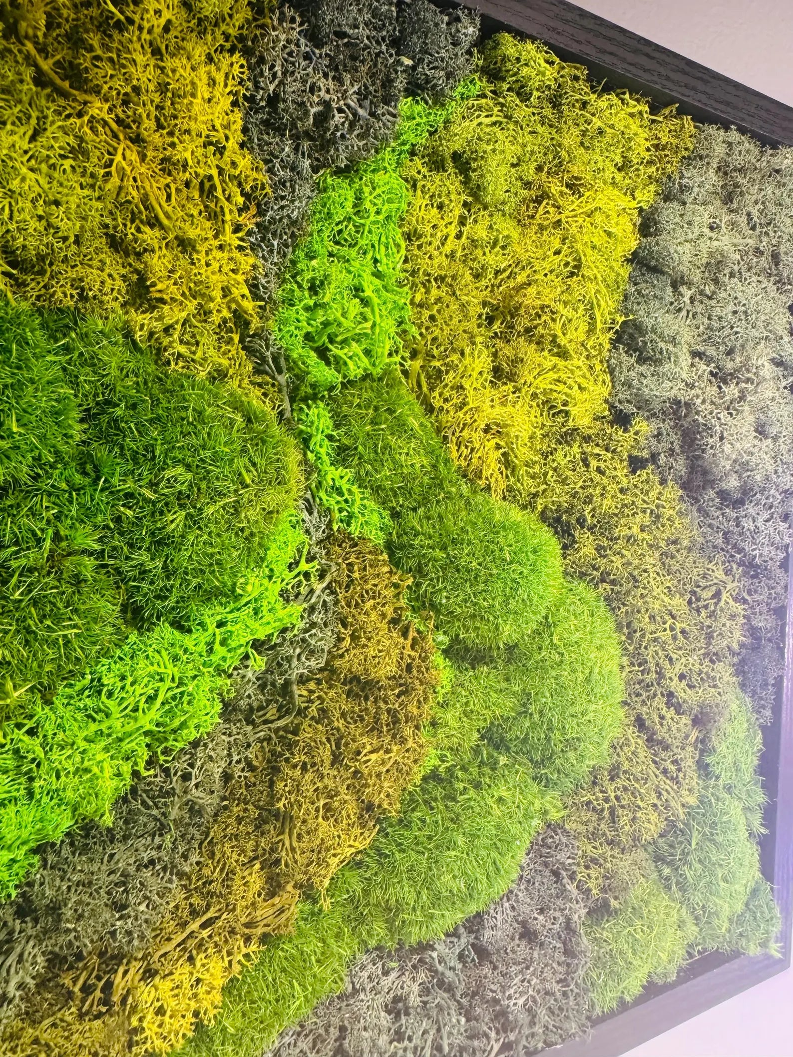 Moss Wall Art in Black Frame – Preserved Green Moss Wall Decor, Modern Nature Artwork