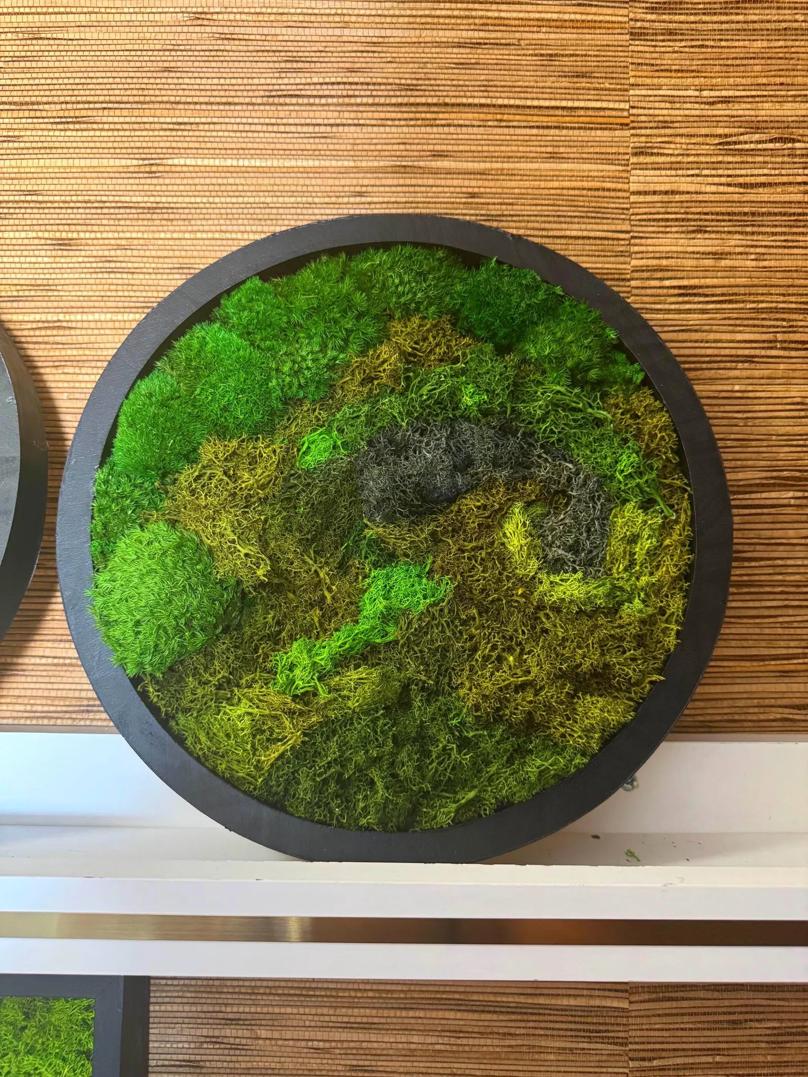Round Moss Wall Art – Black Frame Preserved Moss Decor, Modern Botanical Nature Artwork for Home or Office