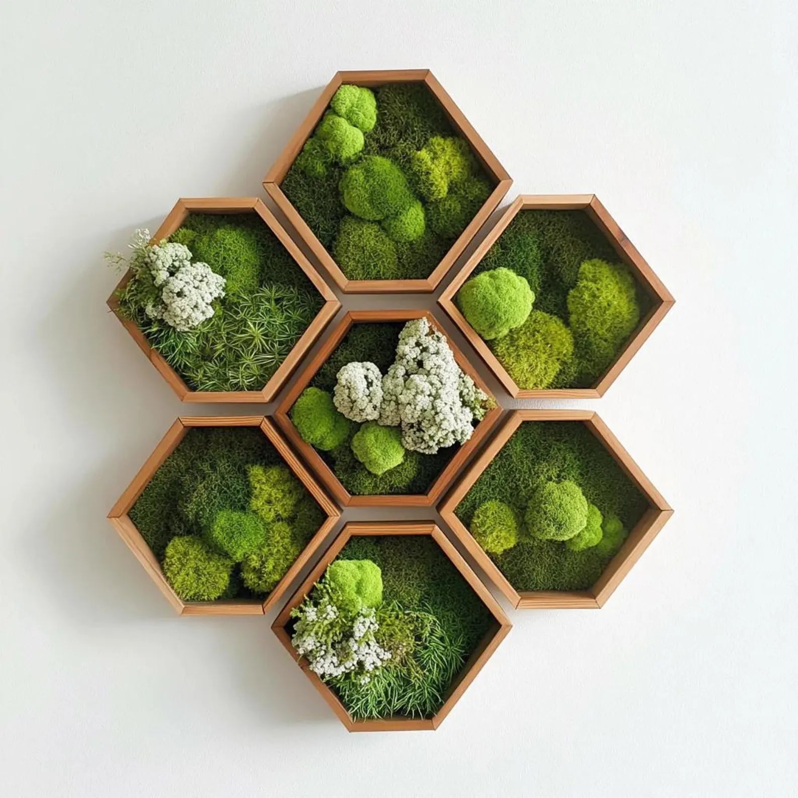 Handmade Moss Wall Art – Preserved Moss Hexagon Frame 22x24 Premium Botanical Decor