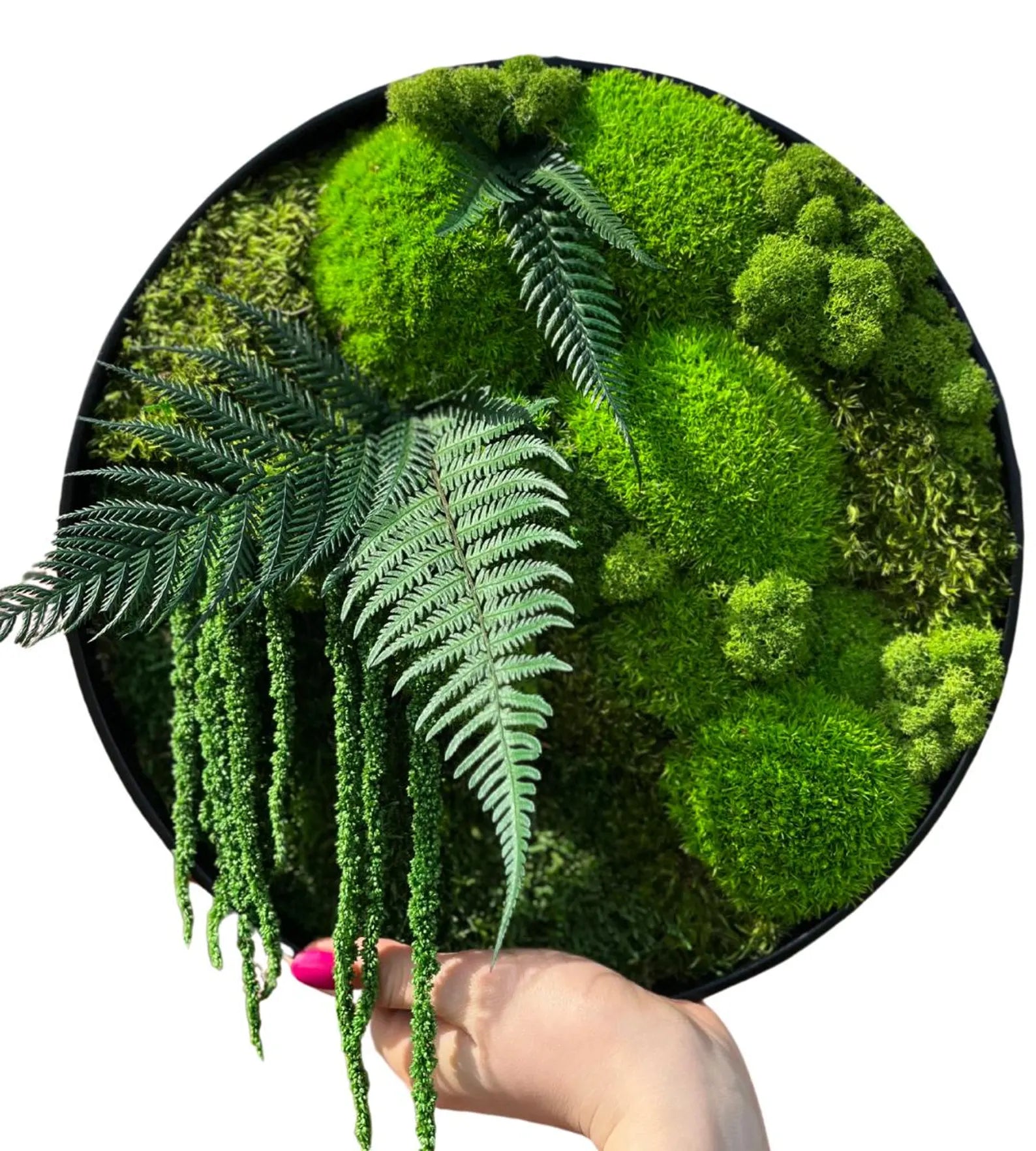 Preserved Moss Wall Art – Handmade Rustic Greenery Wall Decor, Eco-Friendly Moss Frame for Home & Office (30cm or 40cm)