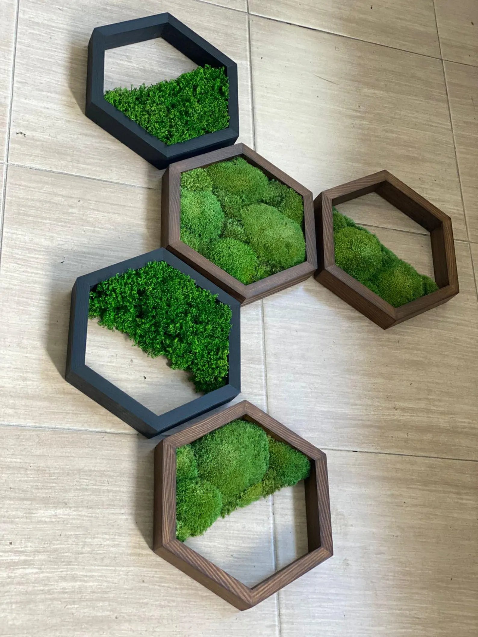 Honeycomb Moss Wall Art – Hexagon Preserved Moss Decor for Home & Office, Unique Gift Idea