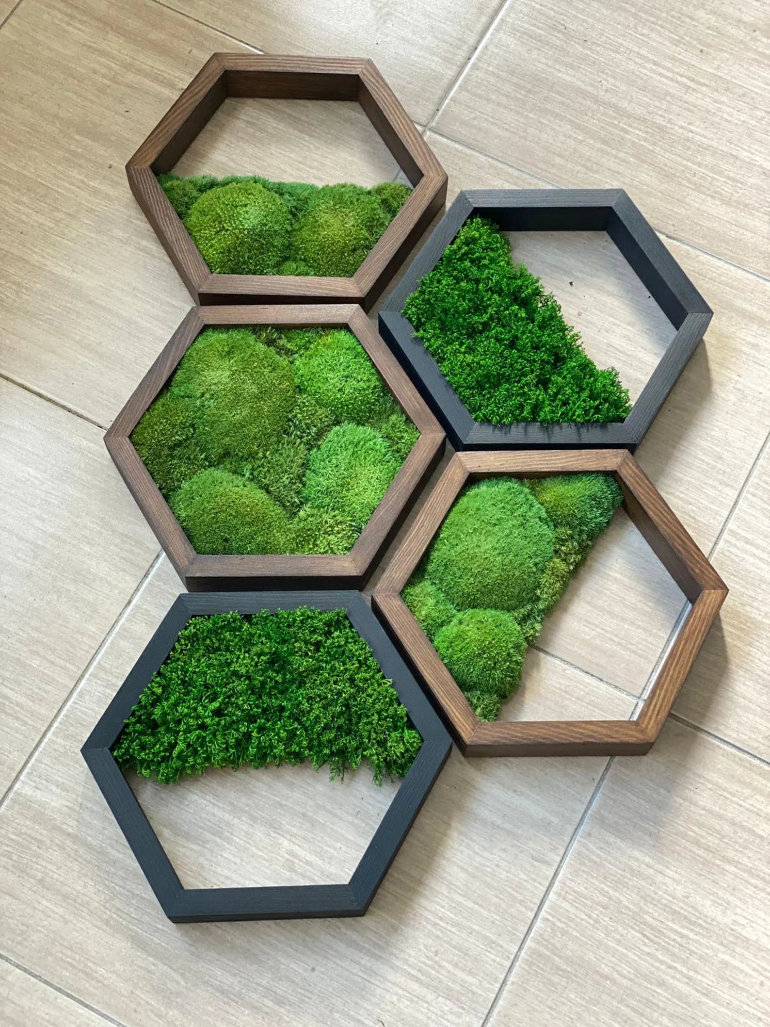 Honeycomb Moss Wall Art – Hexagon Preserved Moss Decor for Home & Office, Unique Gift Idea