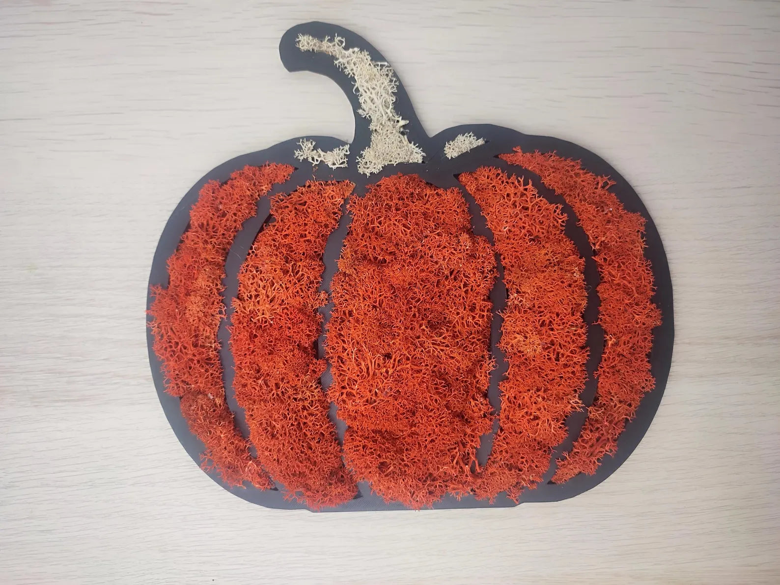 Pumpkin Moss Wall Art – Halloween Door Hanger with Preserved Reindeer Moss, Fall Home Decor
