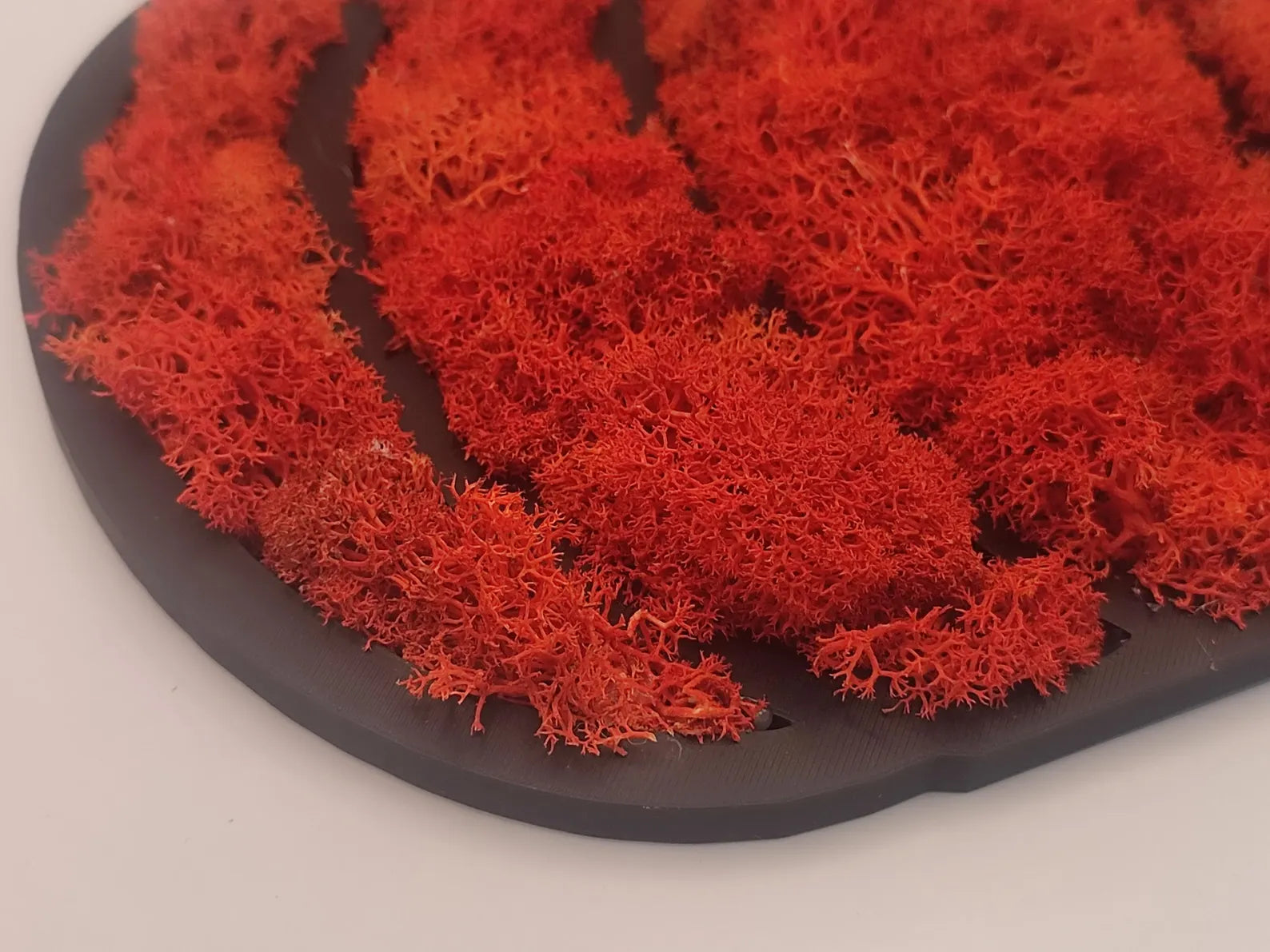 Pumpkin Moss Wall Art – Halloween Door Hanger with Preserved Reindeer Moss, Fall Home Decor