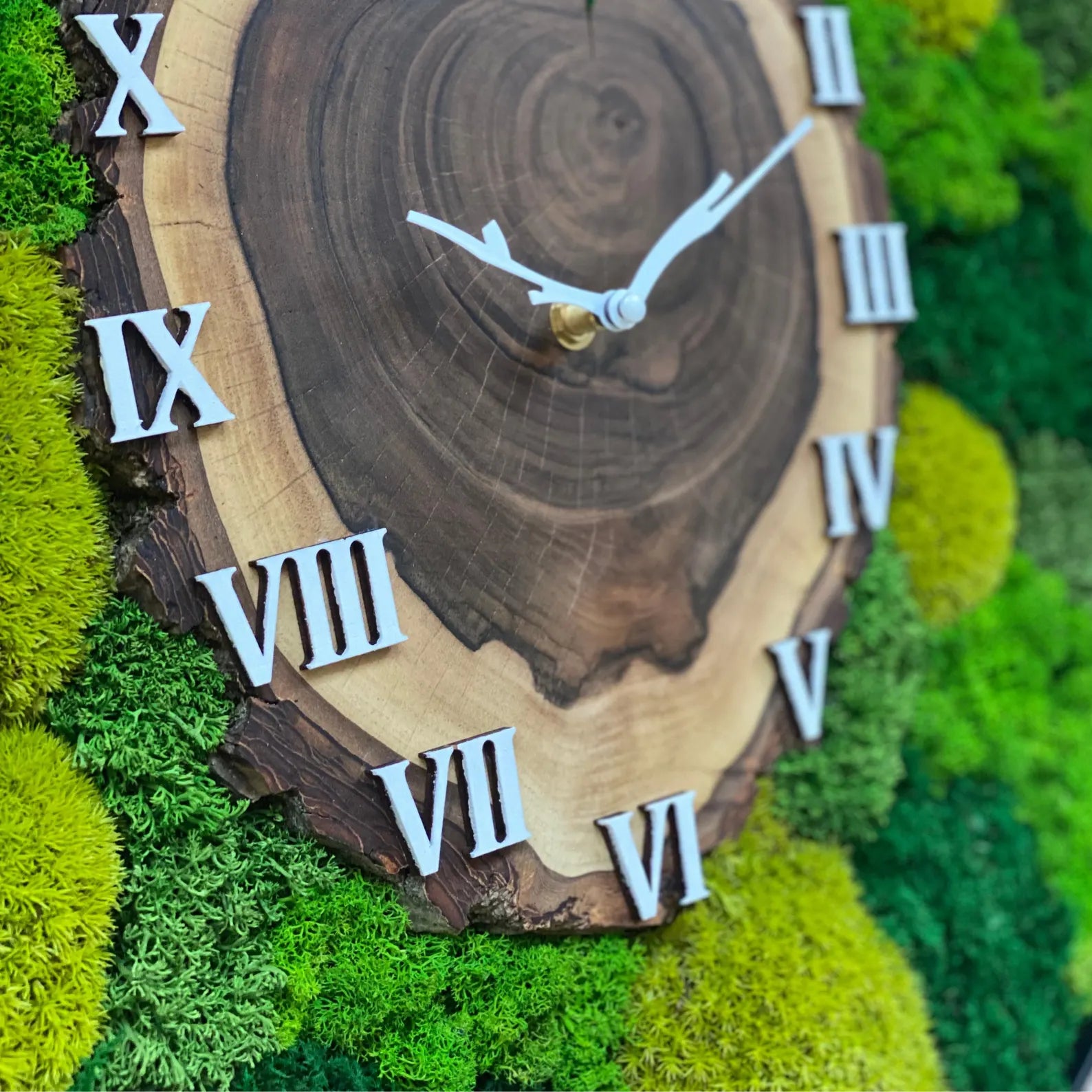 Unique Moss Wall Clock – Modern Metal Frame with Wood Slice Design