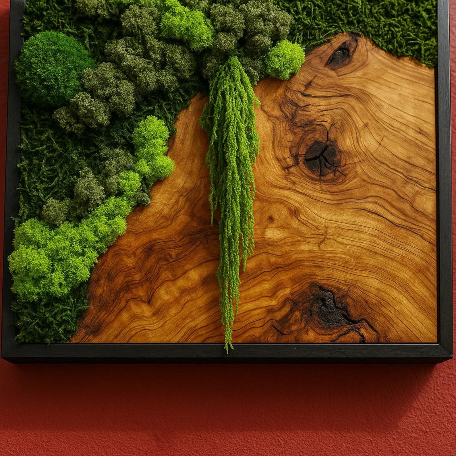 Preserved Moss and Olive Wood Wall Art – Biophilic Black Frame Wall Decor for Home or Office