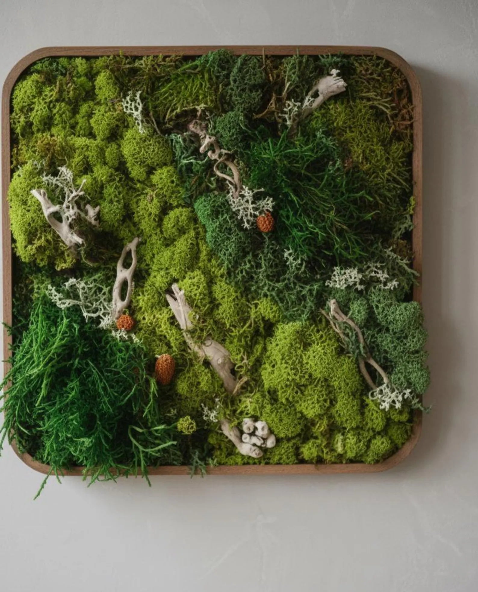 Preserved Moss Wall Art – Green Nature-Inspired Decor for Interior Spaces