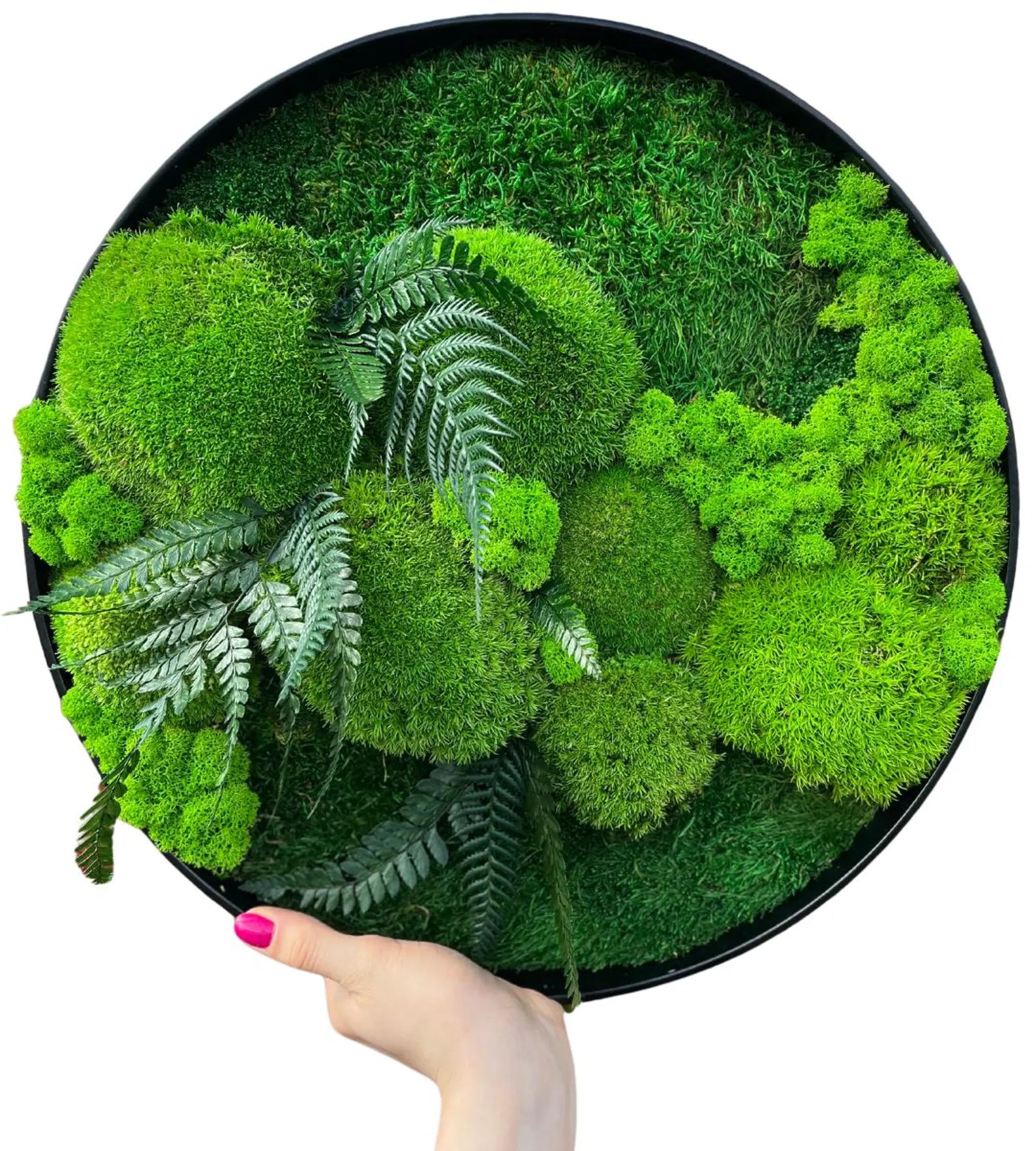 Preserved Moss Wall Art – Handmade Rustic Greenery Wall Decor, Eco-Friendly Moss Frame for Home & Office (30cm or 40cm)