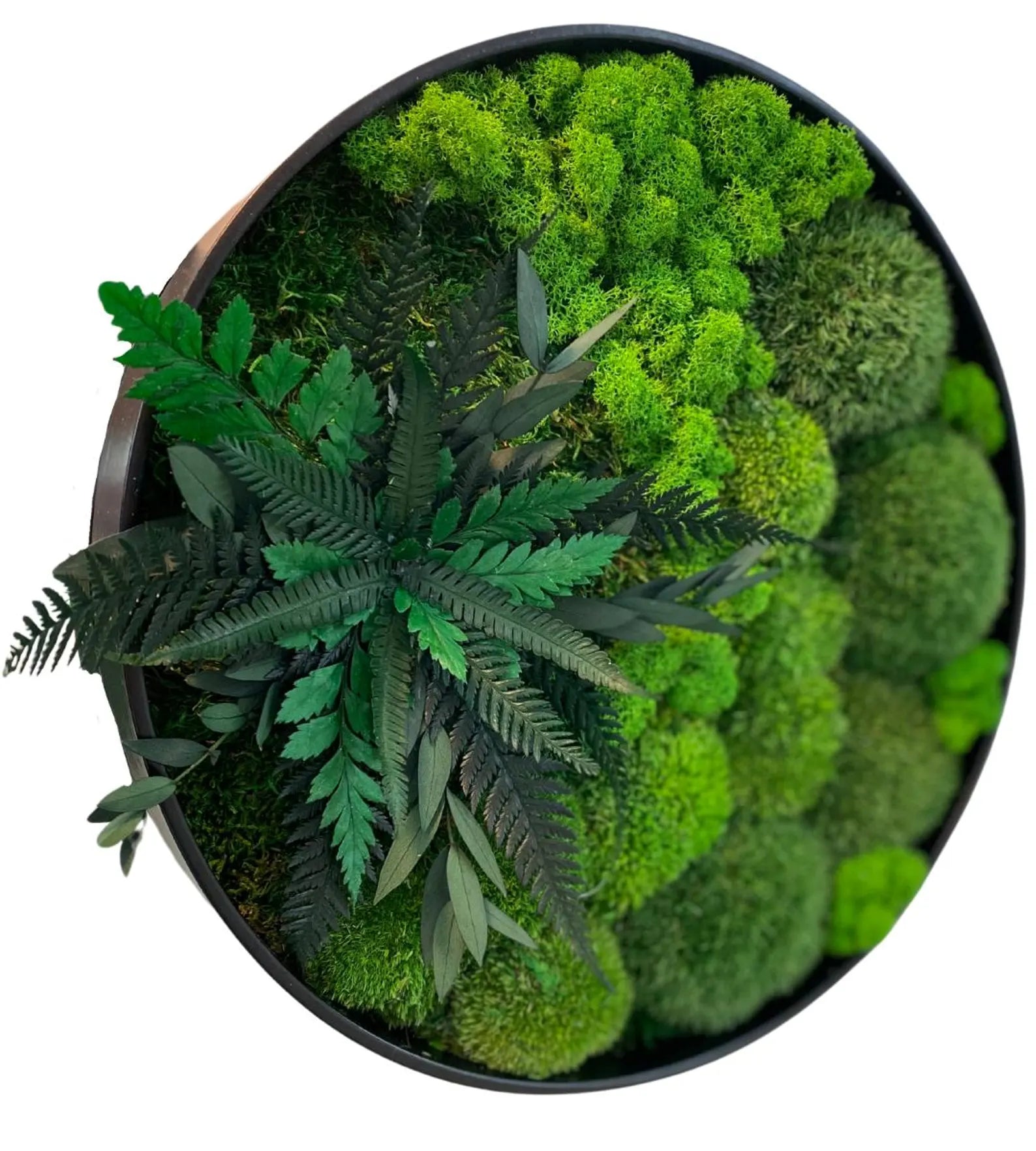 Preserved Moss Wall Art – Handmade Rustic Greenery Wall Decor, Eco-Friendly Moss Frame for Home & Office (30cm or 40cm)