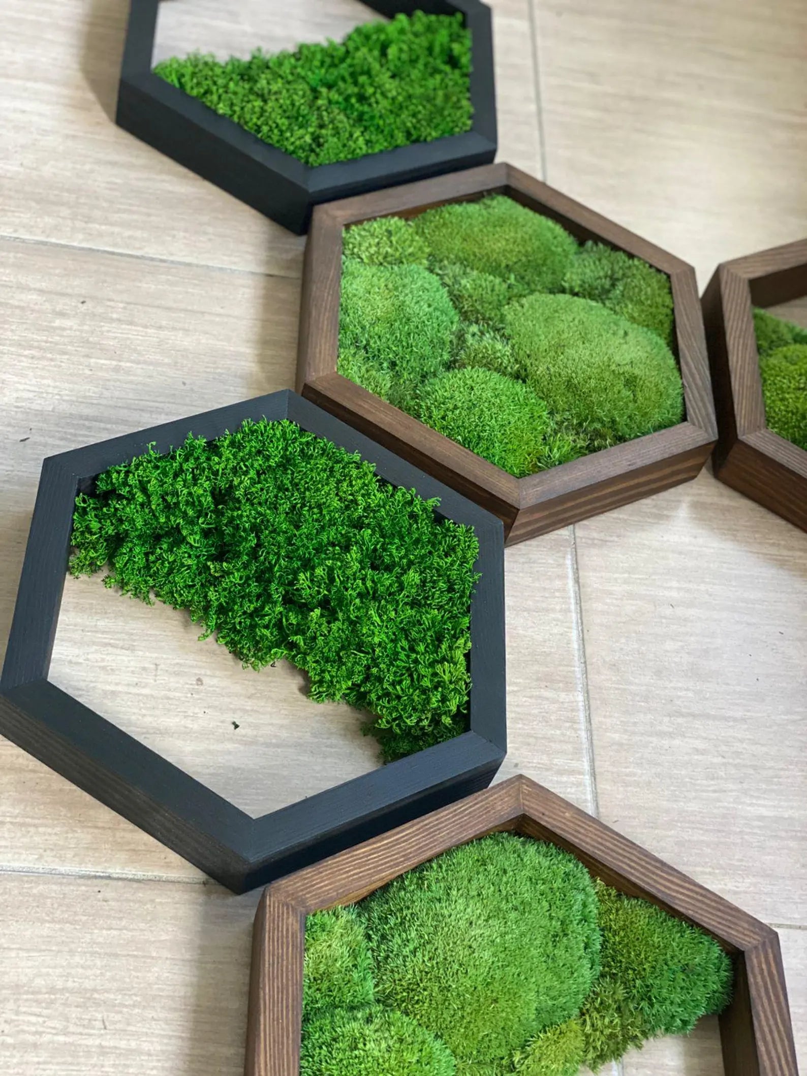 Honeycomb Moss Wall Art – Hexagon Preserved Moss Decor for Home & Office, Unique Gift Idea