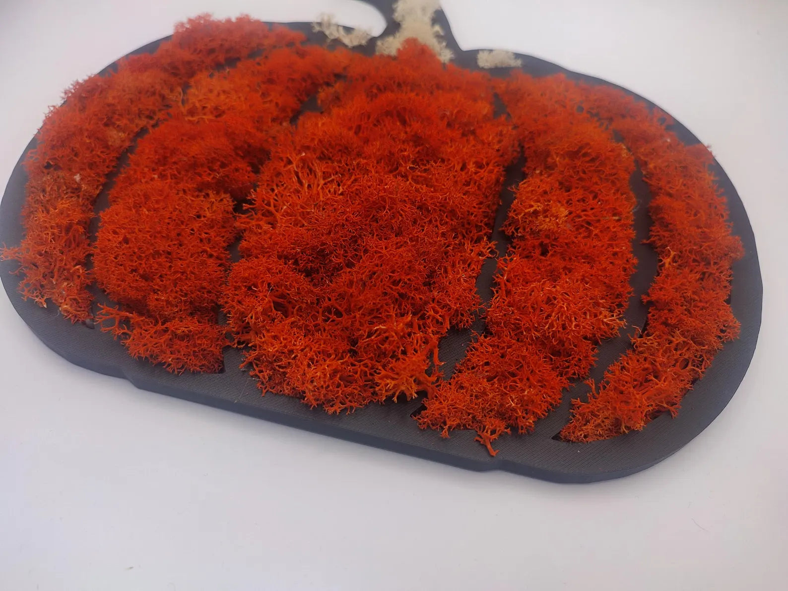 Pumpkin Moss Wall Art – Halloween Door Hanger with Preserved Reindeer Moss, Fall Home Decor