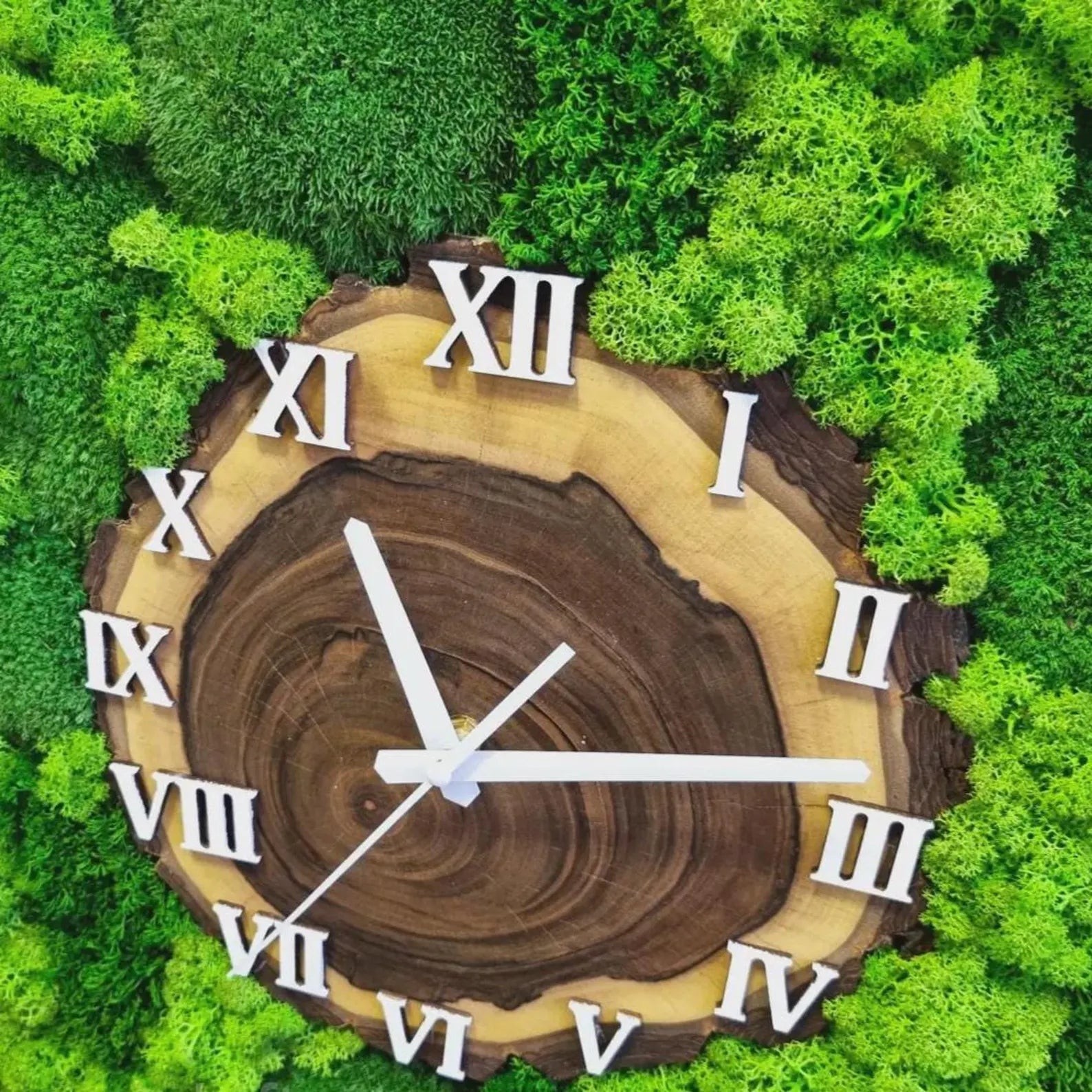 Handmade Preserved Moss Wall Clock – Natural Botanical Wall Art for Home, Office & Spa