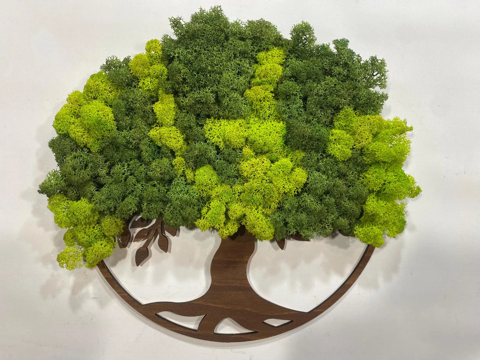 Boho Tree of Life Moss Frame – Eco-Friendly Wall Decoration