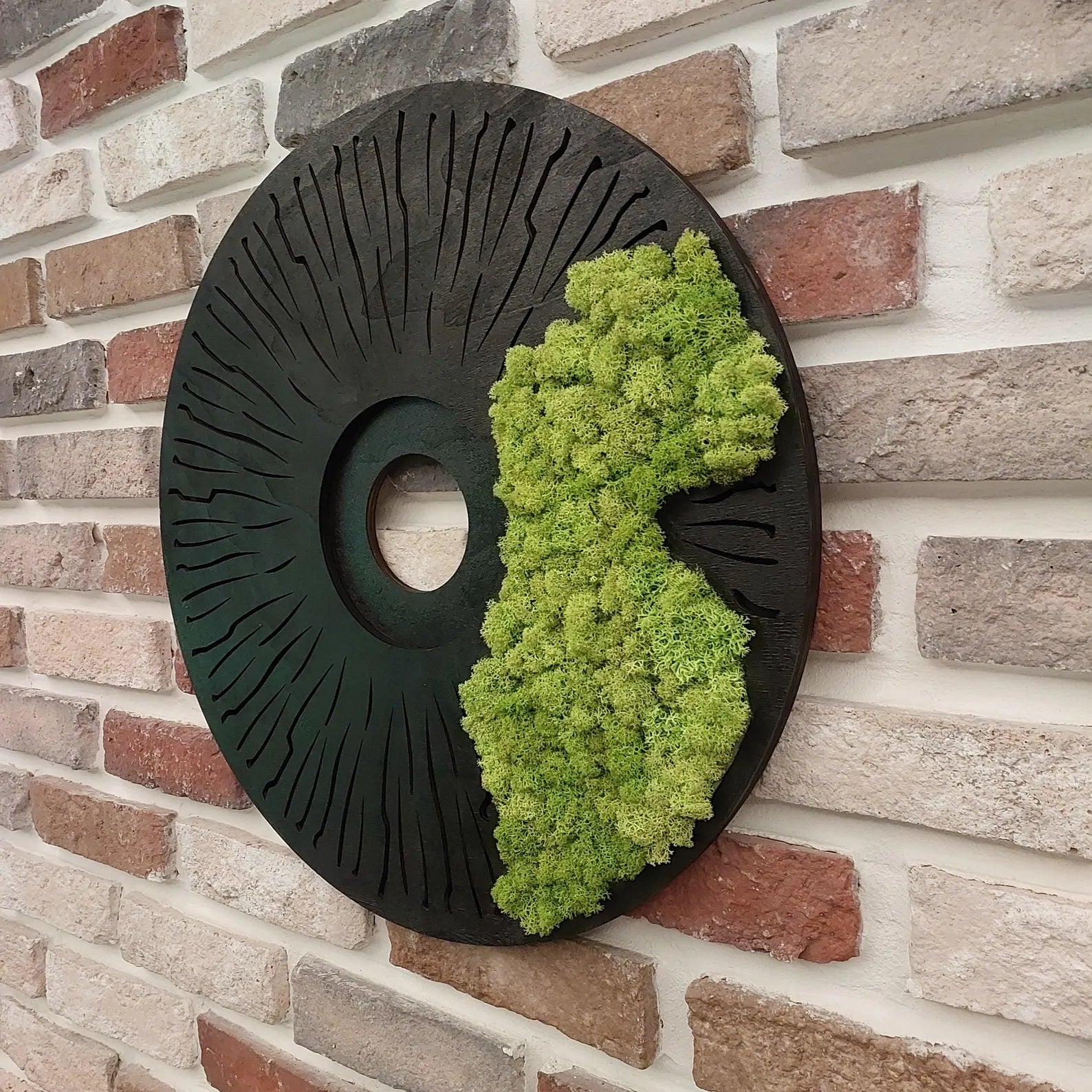 Round Moss Wall Art – Modern Black Circle Nature Decor for Home