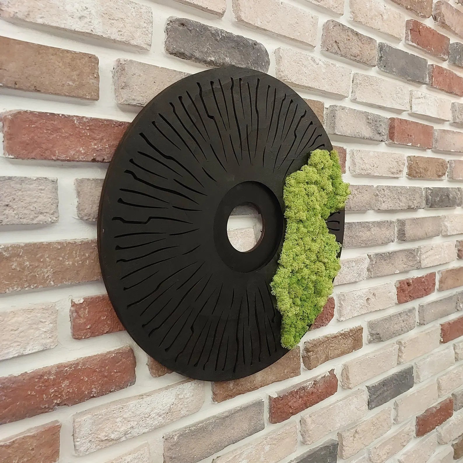 Round Moss Wall Art – Modern Black Circle Nature Decor for Home