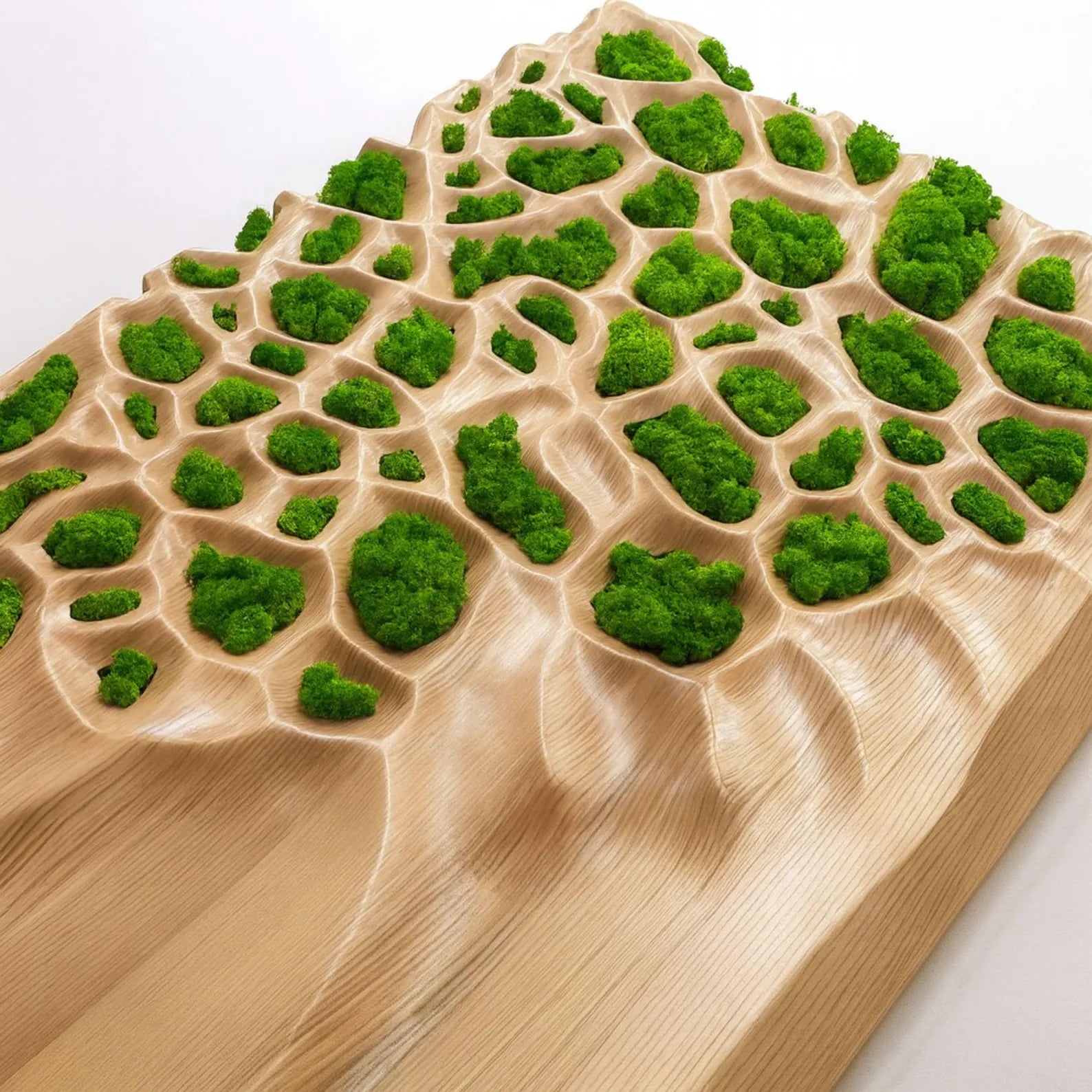 Handmade Wood & Moss Wall Sculpture – Eco Luxury Wall Art for Home