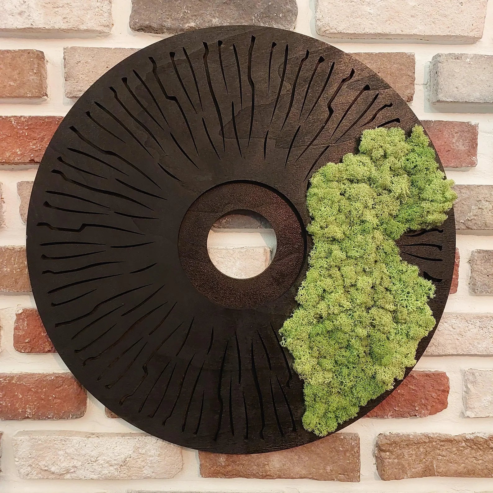 Round Moss Wall Art – Modern Black Circle Nature Decor for Home