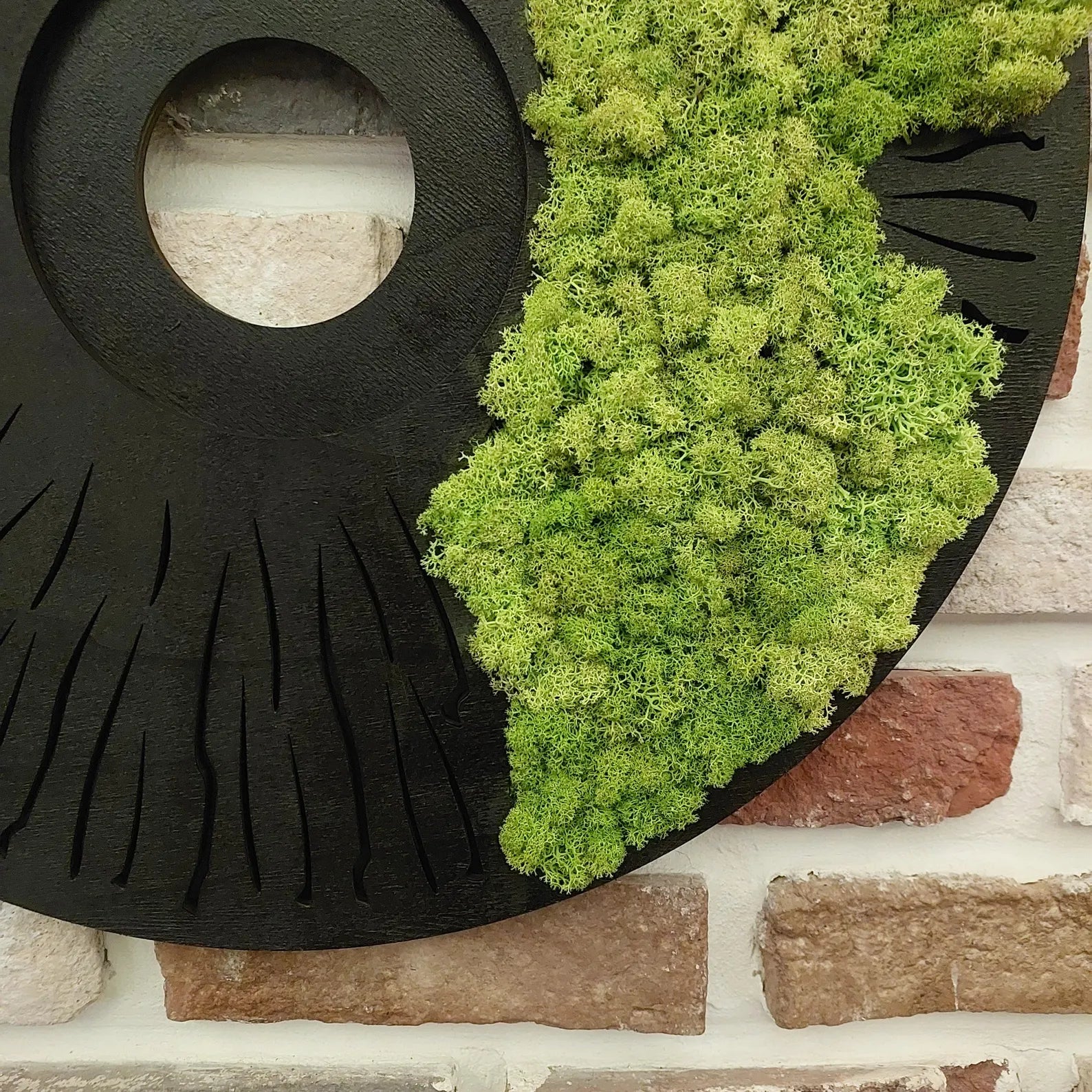 Round Moss Wall Art – Modern Black Circle Nature Decor for Home