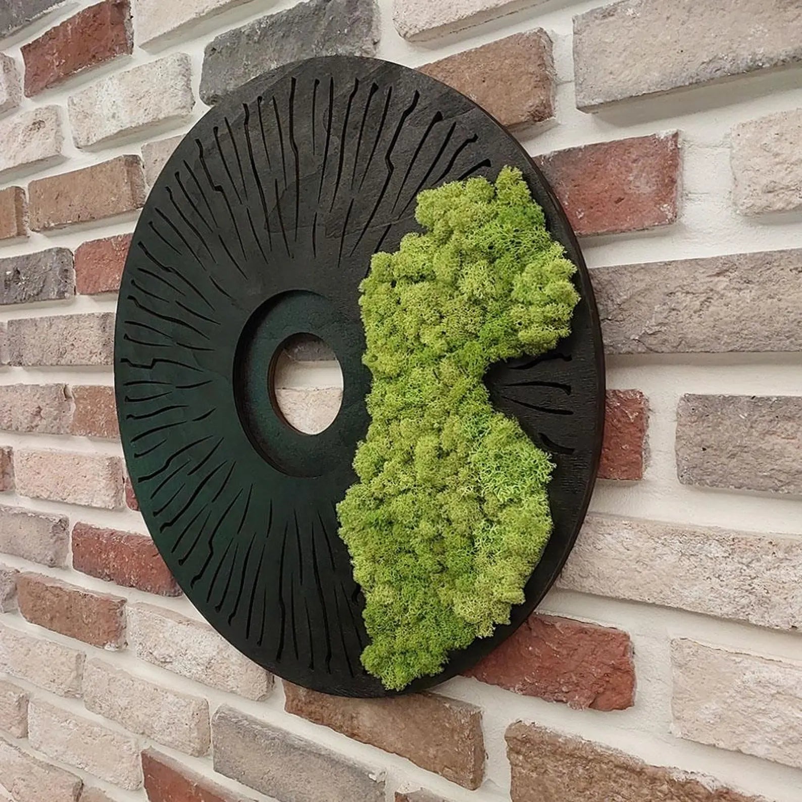 Round Moss Wall Art – Modern Black Circle Nature Decor for Home