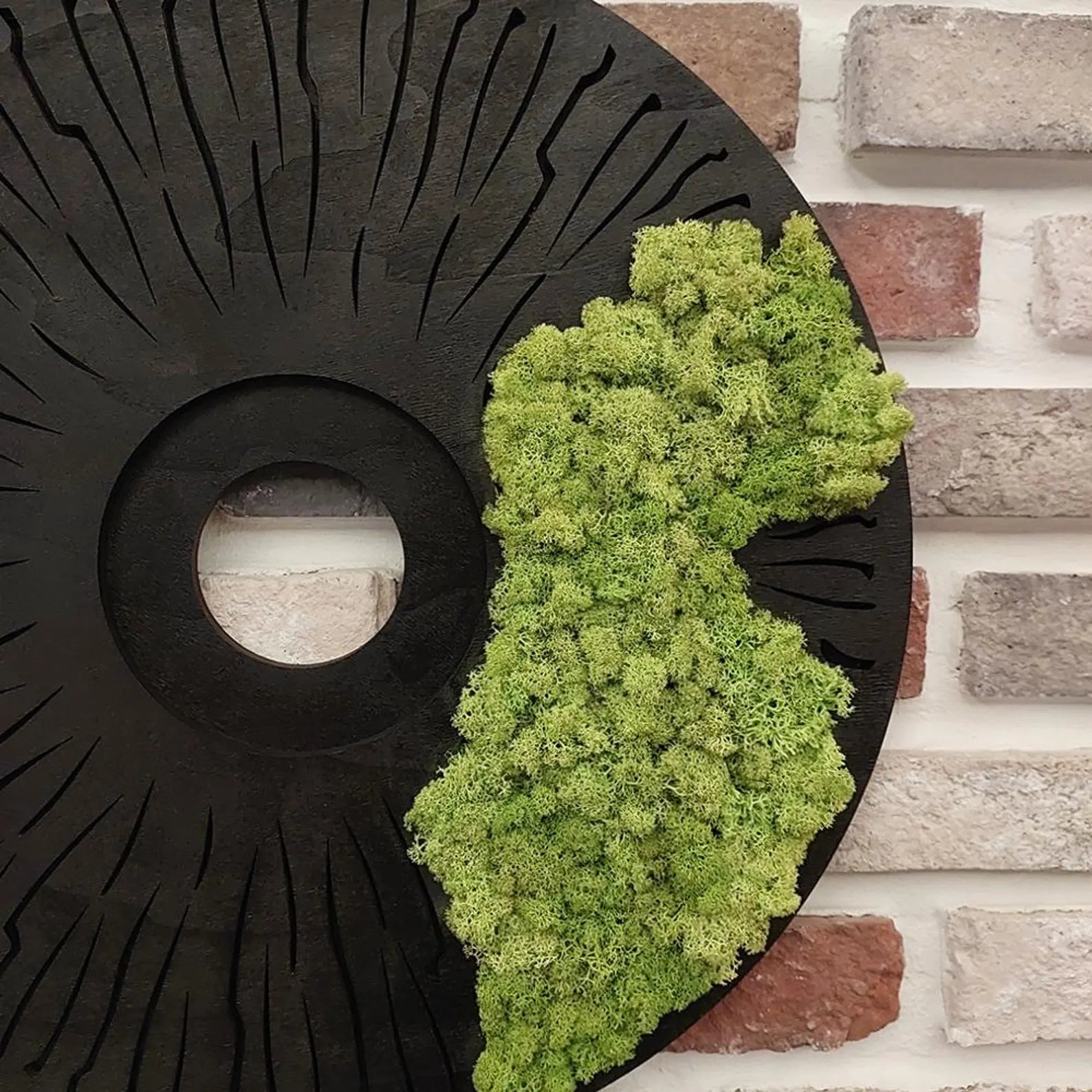 Round Moss Wall Art – Modern Black Circle Nature Decor for Home