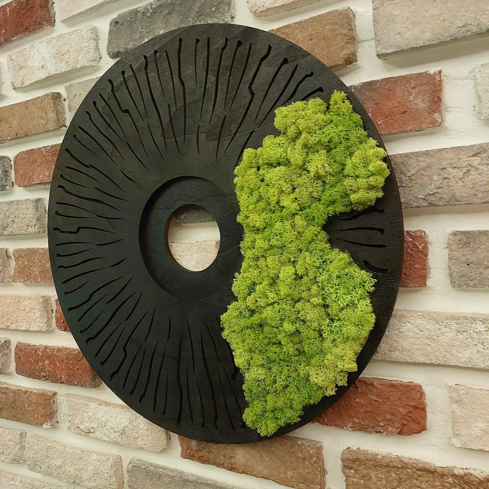 Round Moss Wall Art – Modern Black Circle Nature Decor for Home