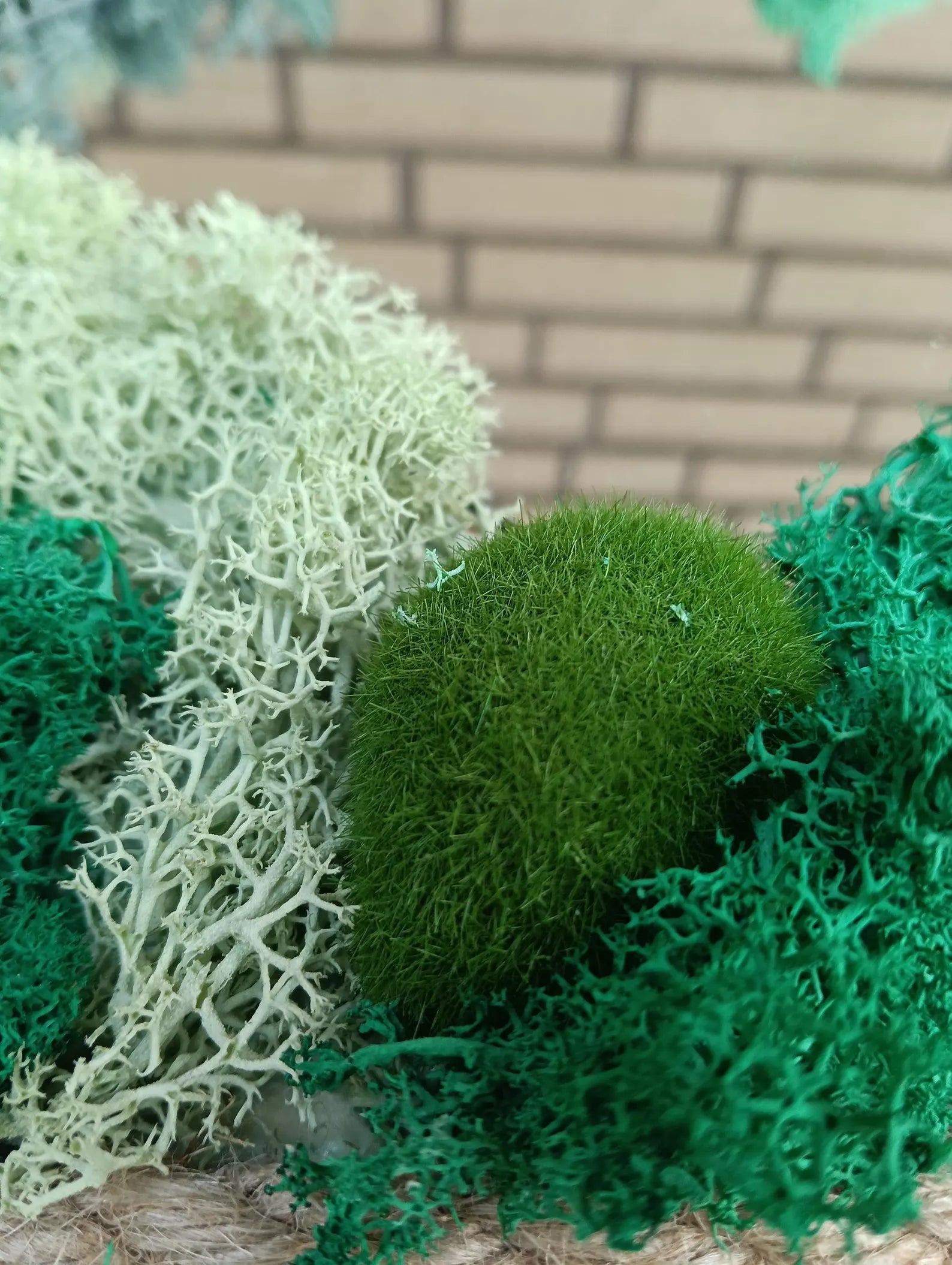 3D Icelandic Moss Mirror – Handmade Eco-Friendly Wall Decor