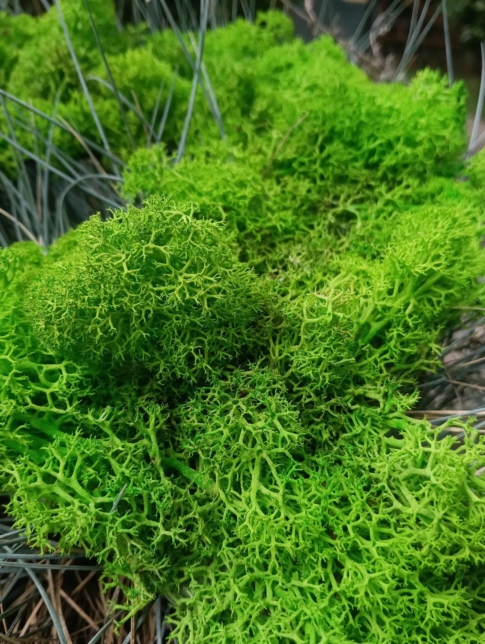 Tree of Life Wall Art with Moss – Handmade Wooden Home Accent