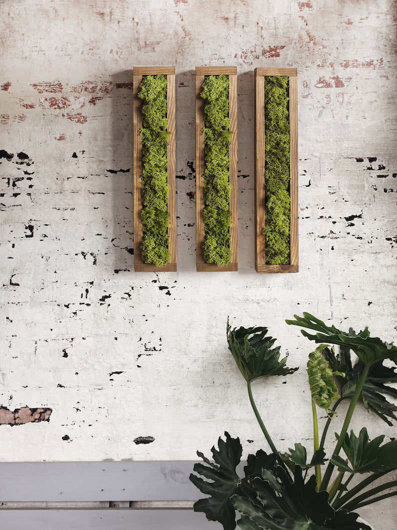 Rectangular Moss Wall Art – Preserved Greenery Frame