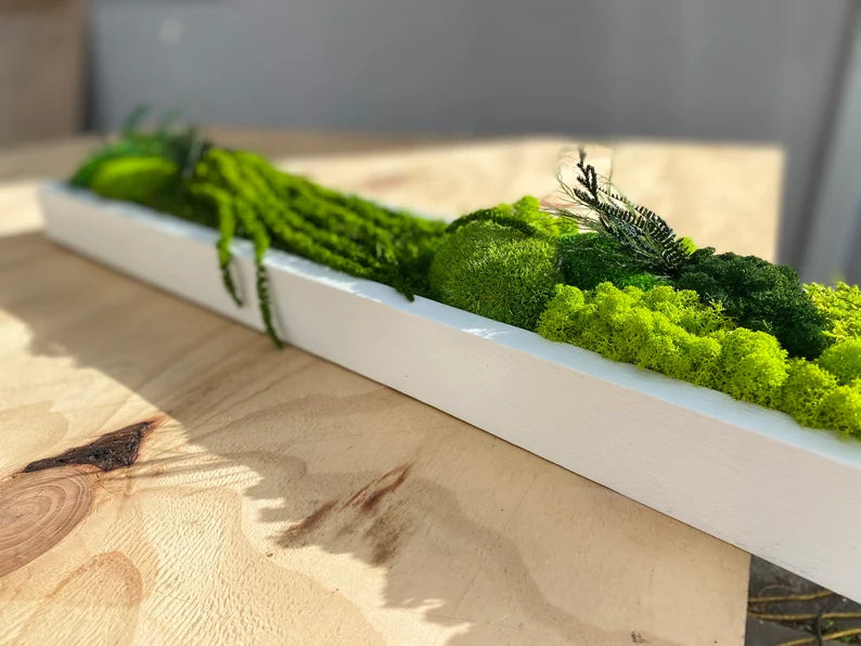 Preserved Moss Wall Art – Handmade Moss Panels & Green Centerpiece Decor