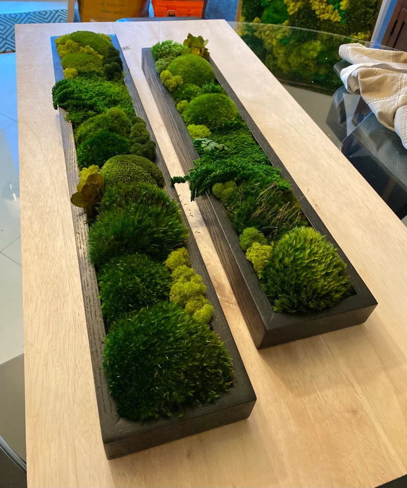 Preserved Moss Wall Art – Handmade Moss Panels & Green Centerpiece Decor