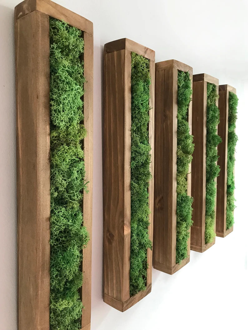 Rectangular Moss Wall Art – Preserved Greenery Frame