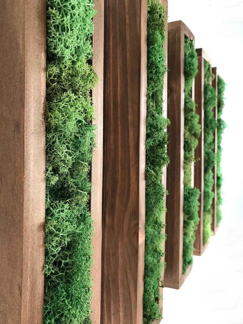 Rectangular Moss Wall Art – Preserved Greenery Frame