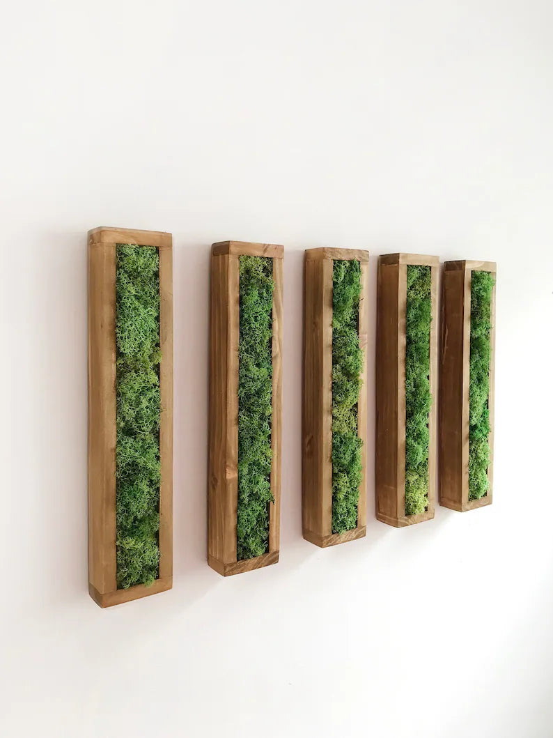 Rectangular Moss Wall Art – Preserved Greenery Frame