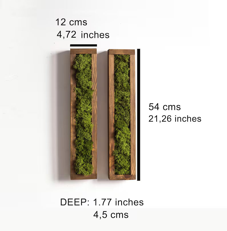 Rectangular Moss Wall Art – Preserved Greenery Frame