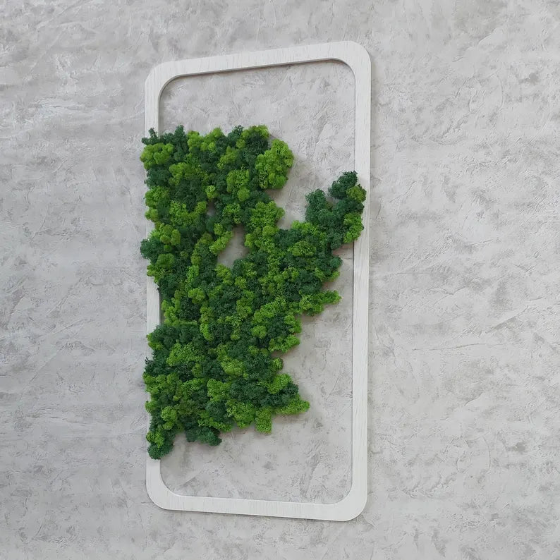 Moss Wall Art – Stabilized Moss Pictures with Wooden Frame | Home & Office Wall Decor