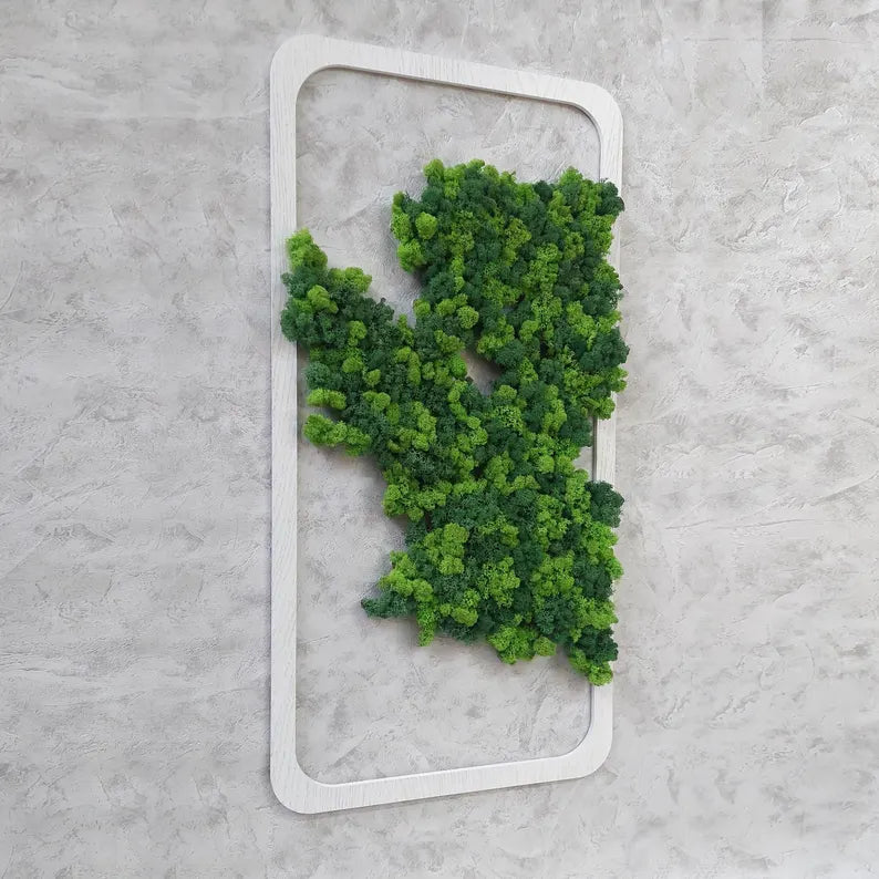 Moss Wall Art – Stabilized Moss Pictures with Wooden Frame | Home & Office Wall Decor
