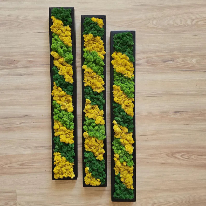 Set of 3 Reindeer Moss Wall Panels – Scandinavian Preserved Moss Art | Green-Yellow Biophilic Decor