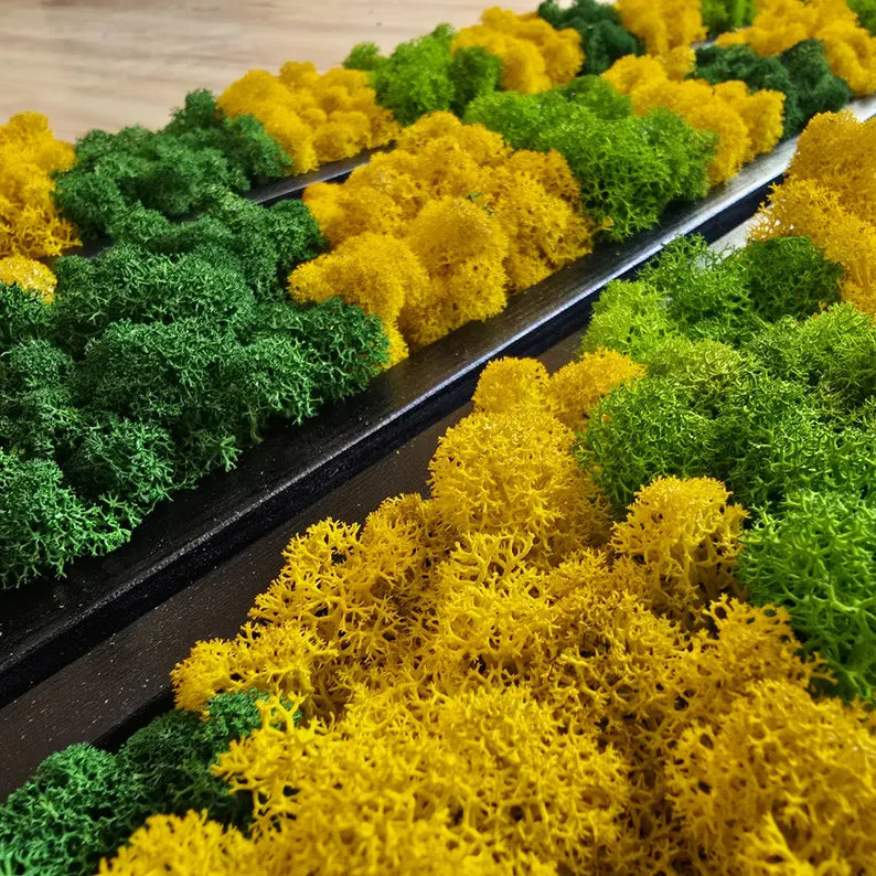 Set of 3 Reindeer Moss Wall Panels – Scandinavian Preserved Moss Art | Green-Yellow Biophilic Decor