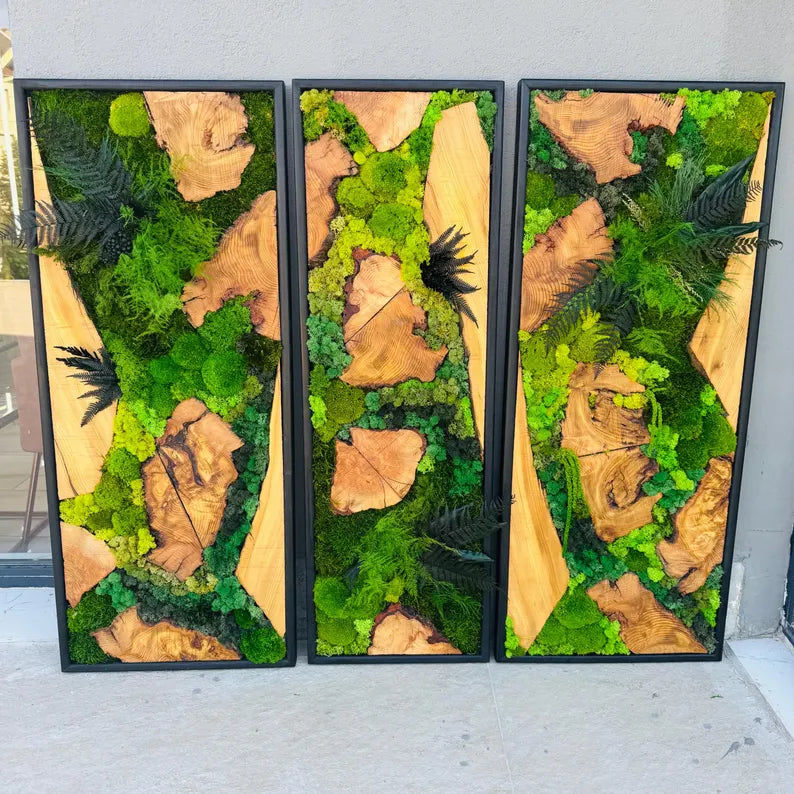 Rustic Olive Wood Moss Frame – Preserved Green Wall Art