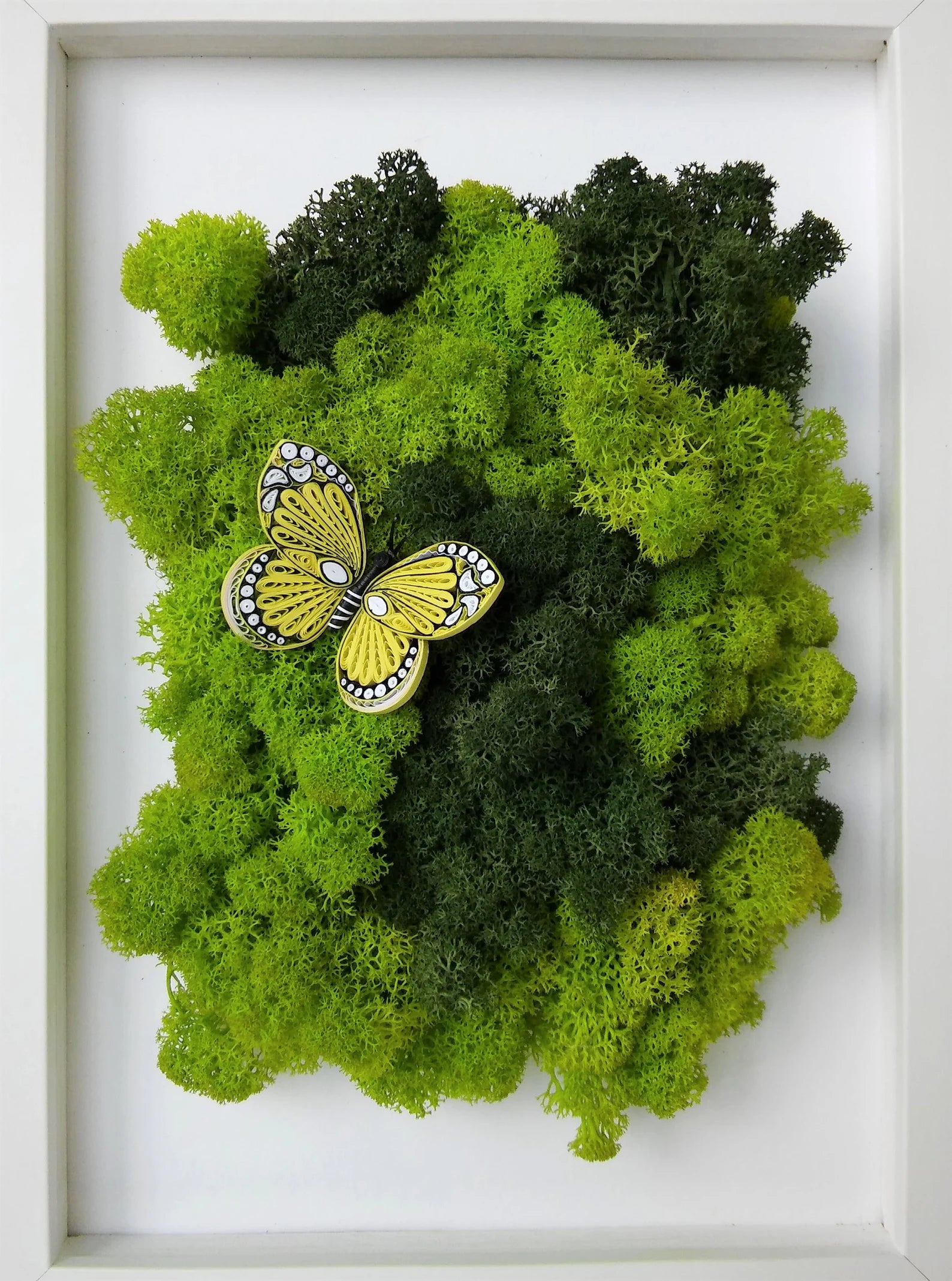 Butterfly Moss Wall Art – Reindeer Moss Frame for Modern Scandinavian Interior
