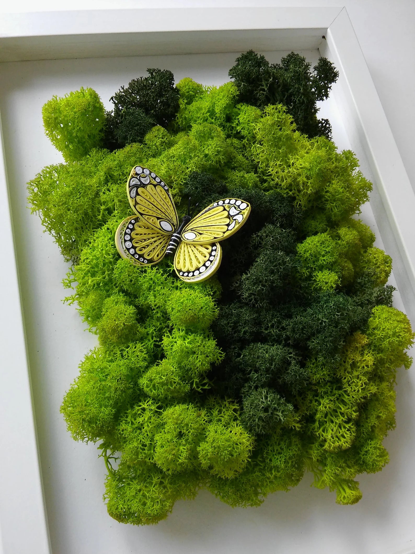 Butterfly Moss Wall Art – Reindeer Moss Frame for Modern Scandinavian Interior