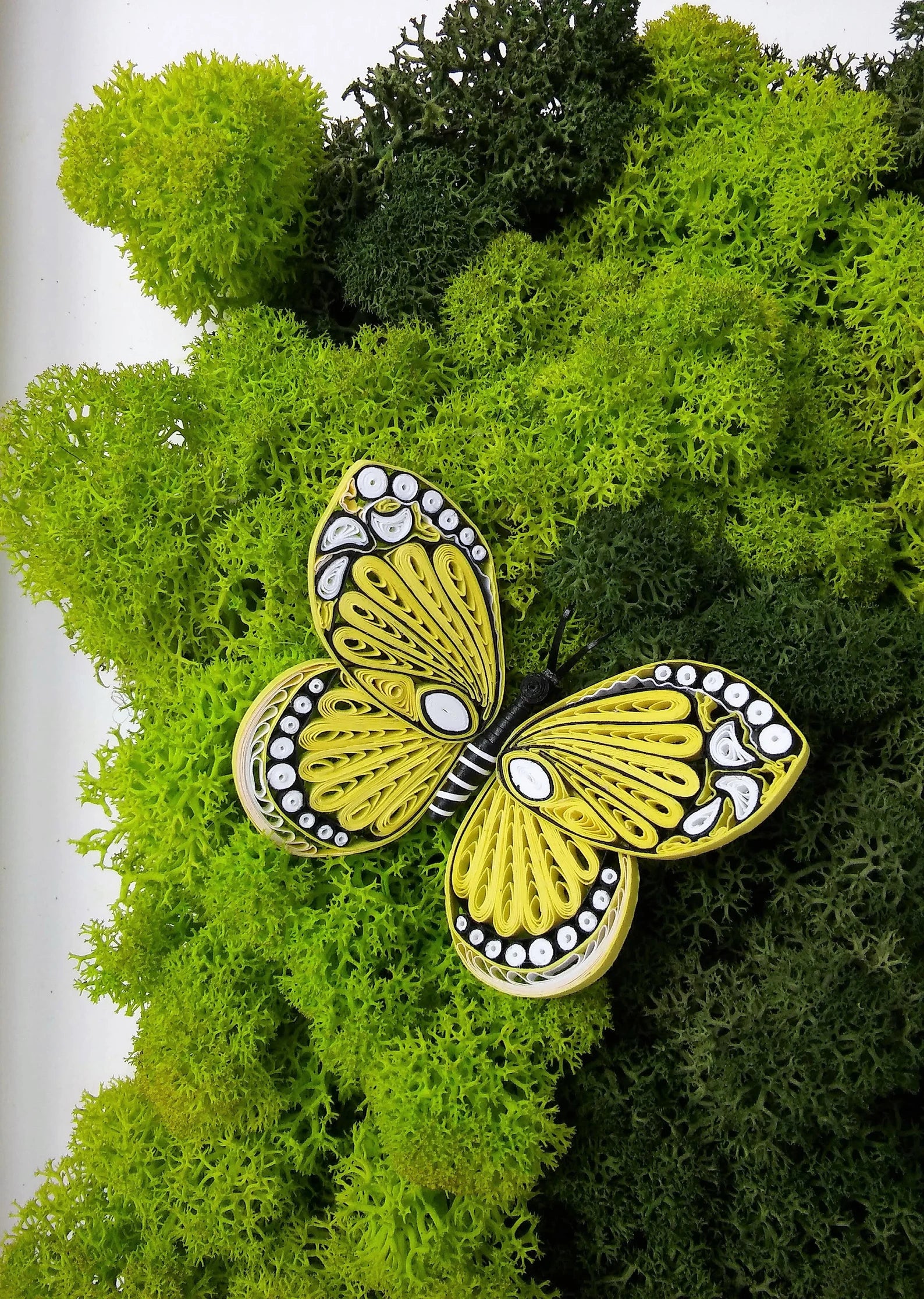 Butterfly Moss Wall Art – Reindeer Moss Frame for Modern Scandinavian Interior