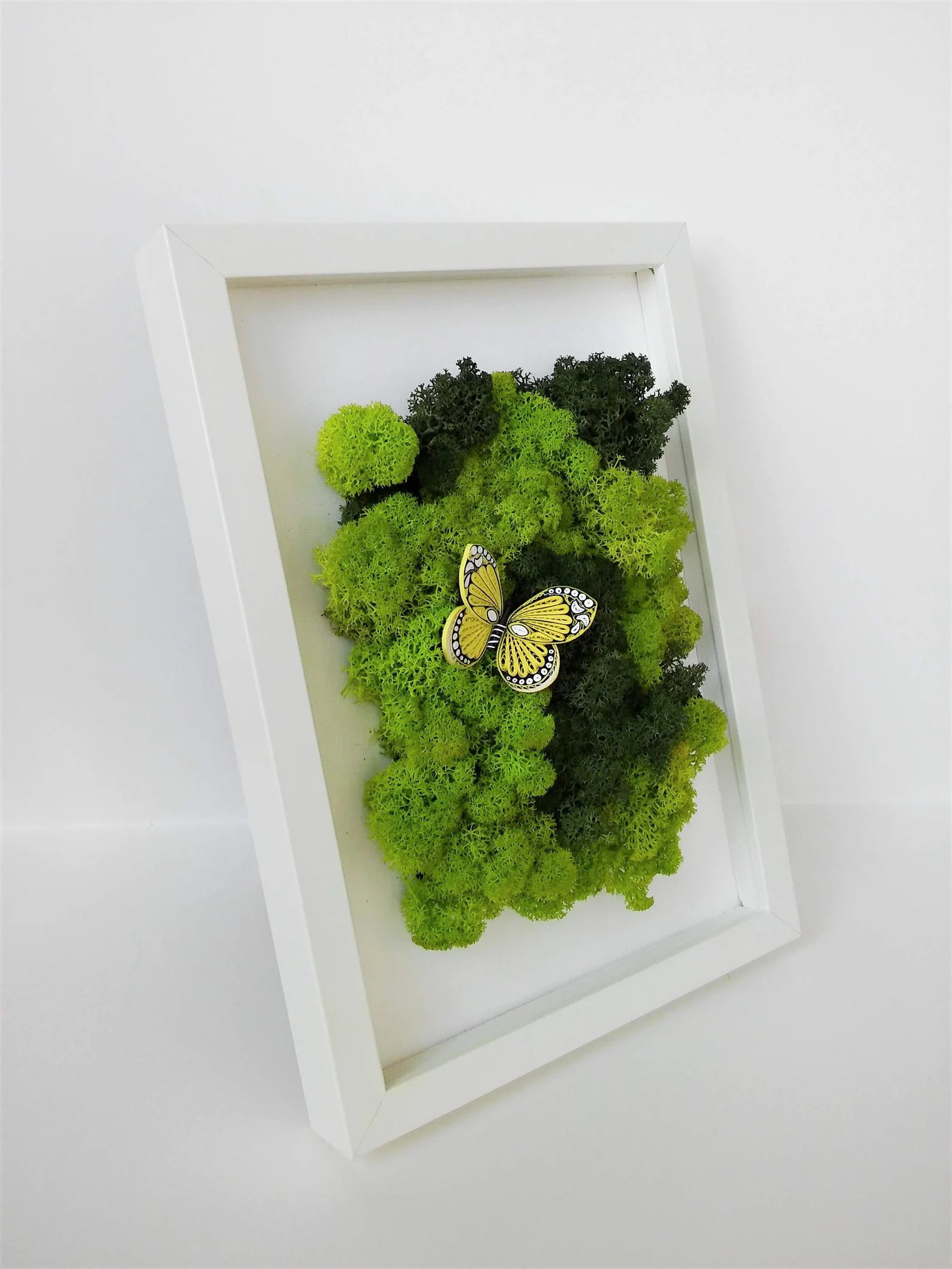 Butterfly Moss Wall Art – Reindeer Moss Frame for Modern Scandinavian Interior