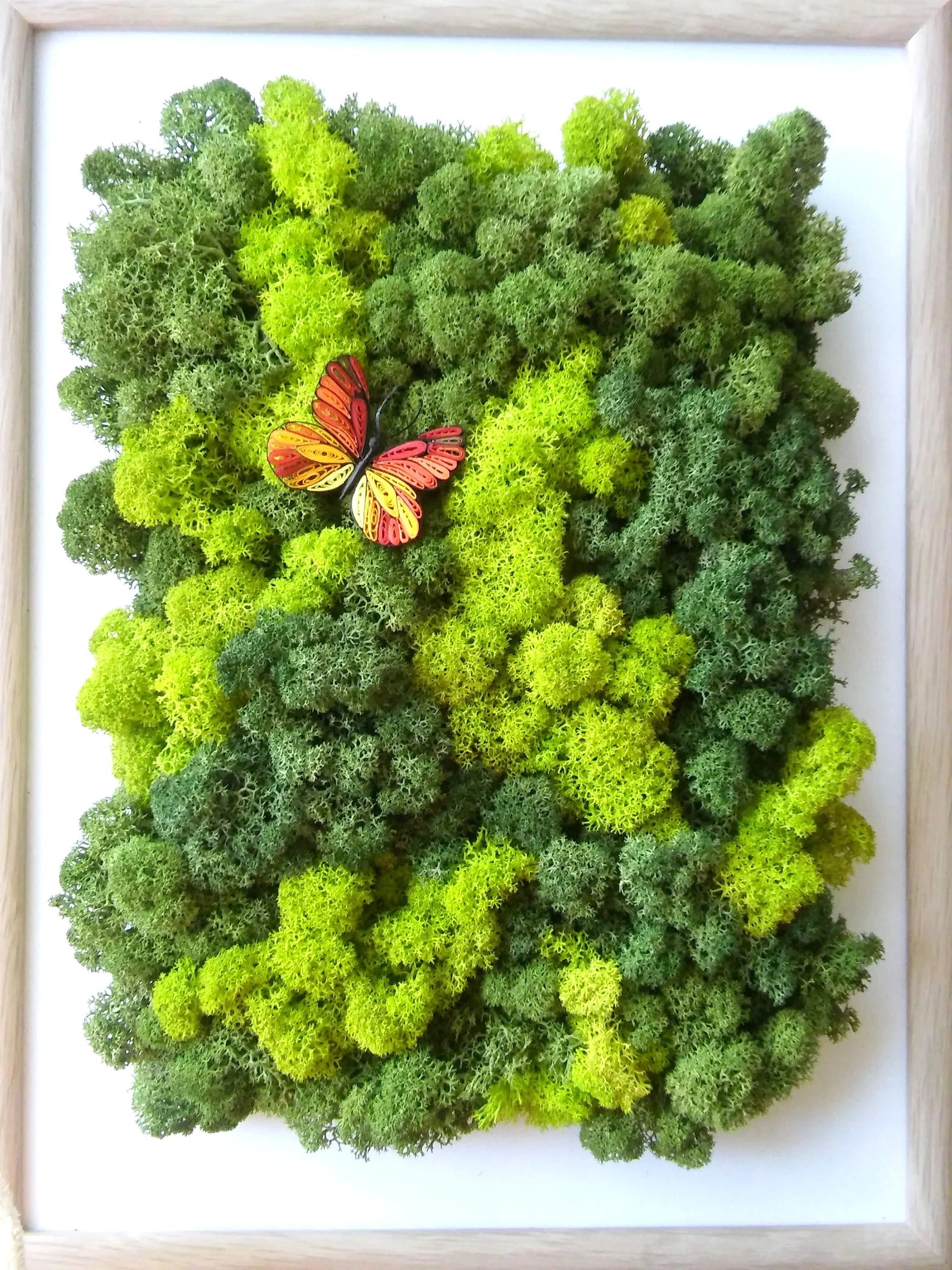 Butterfly Moss Wall Art – Reindeer Moss Frame for Modern Scandinavian Interior
