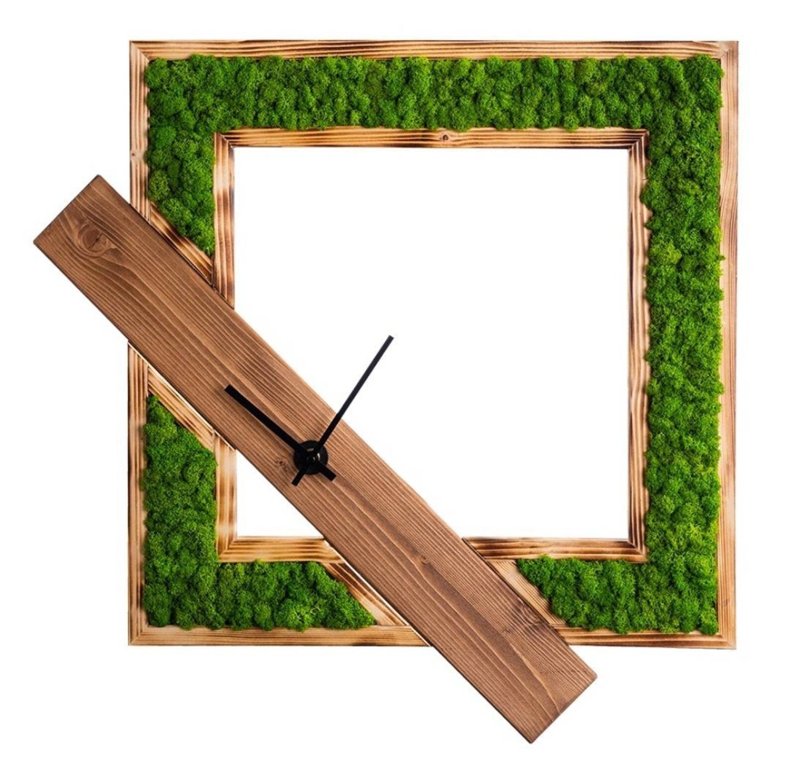 Moss Wall Clock – Living Green Accent for Home or Office