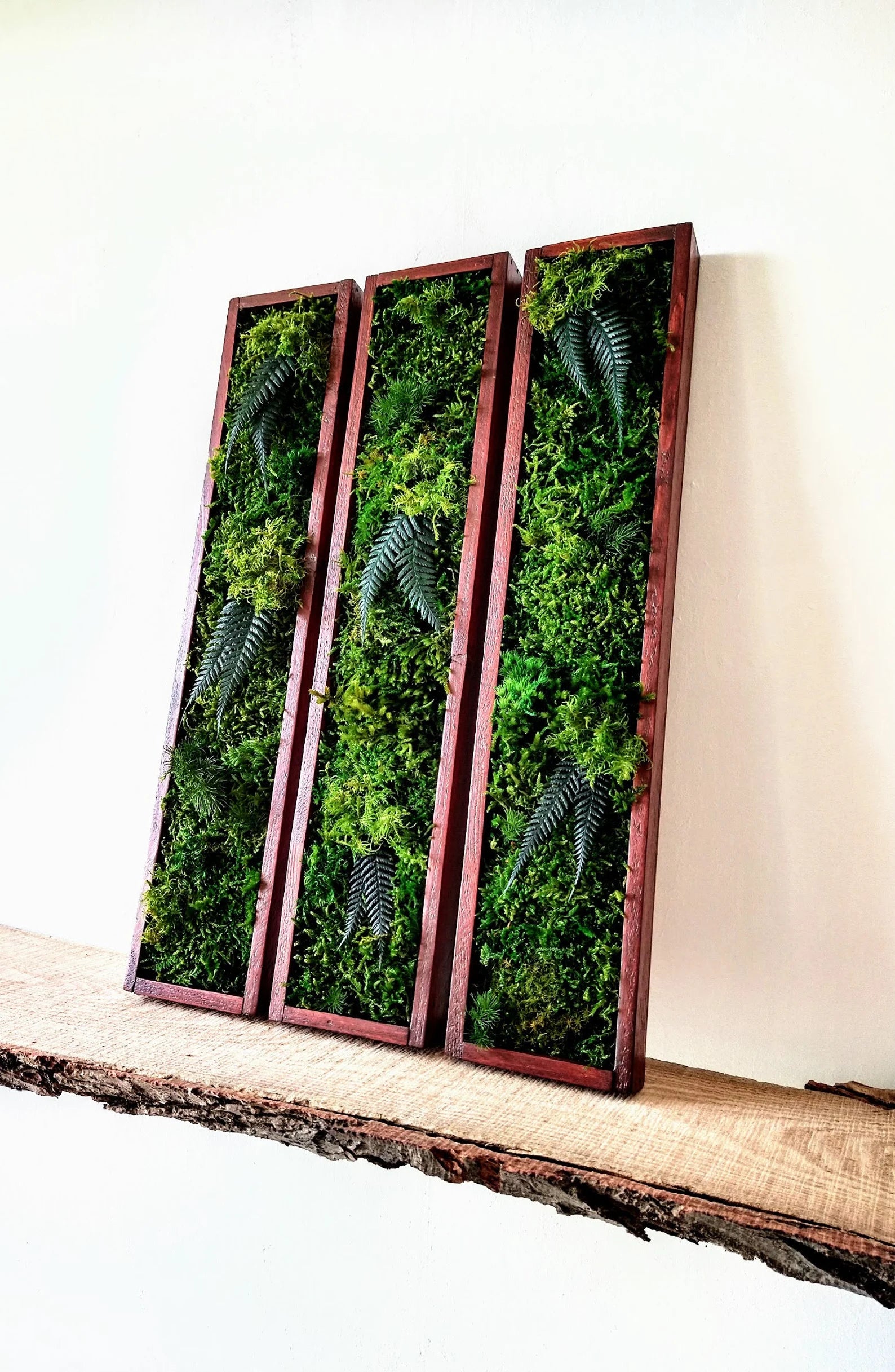 Long Frame Moss Painting – Preserved Green Wall Art | Maintenance-Free Natural Wall Decor